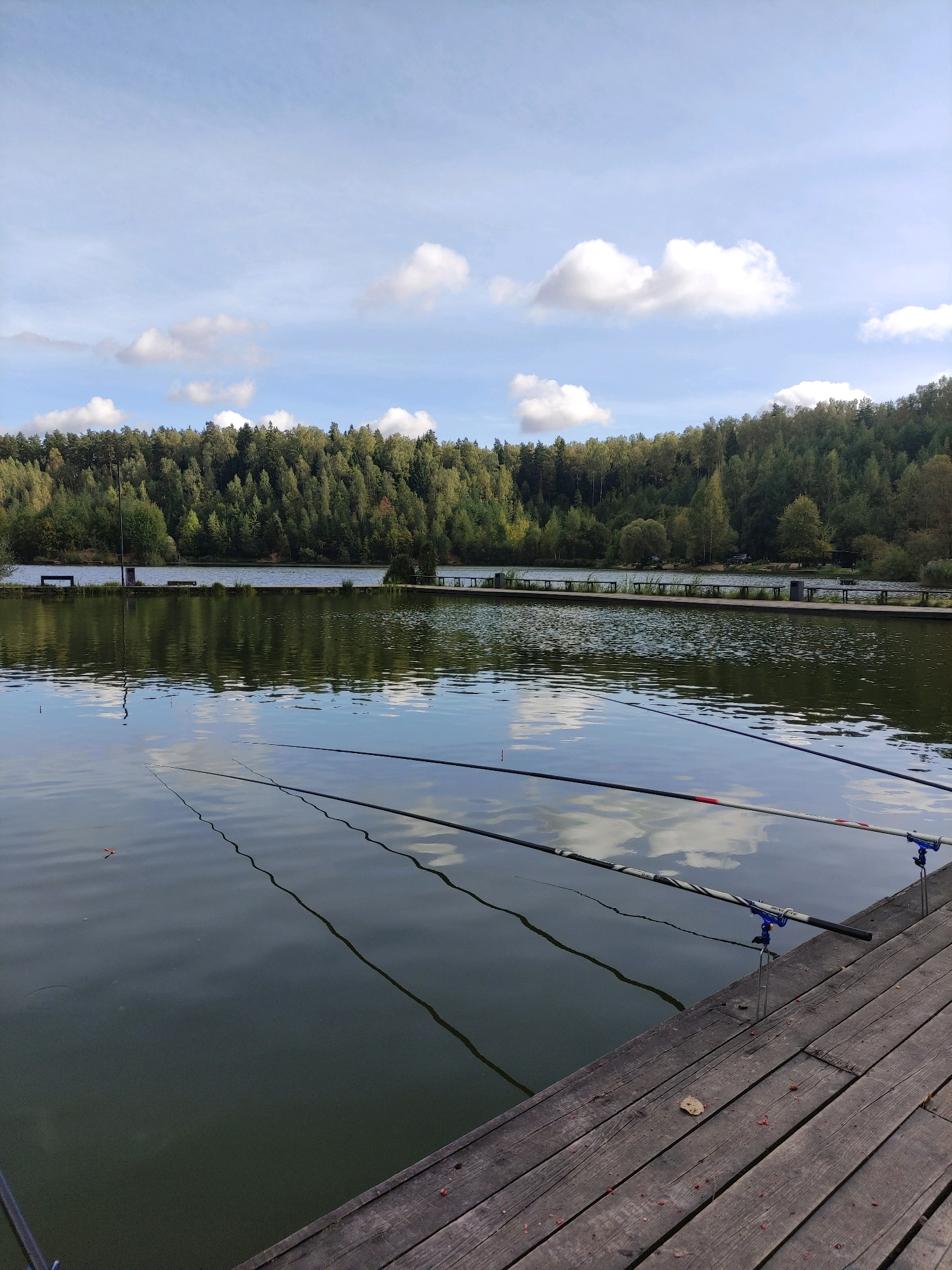 The image depicts a tranquil scene at a fishing spot, likely in or near Grigorovo, Russia. The foreground features a weathered wooden pier with several fishing rods set up, their lines extending into the calm water. The water reflects the blue sky, white clouds, and the dense, green treeline that forms the backdrop of the scene. Beyond the water, a pier with benches and trash cans runs along the shore, suggesting a public recreational area. The treeline is thick with a variety of trees, indicating a natural or semi-natural environment. The sky is partly cloudy, with fluffy white clouds scattered across a pale blue expanse. The overall impression is one of peaceful leisure, with the focus on the quiet activity of fishing by the lake.