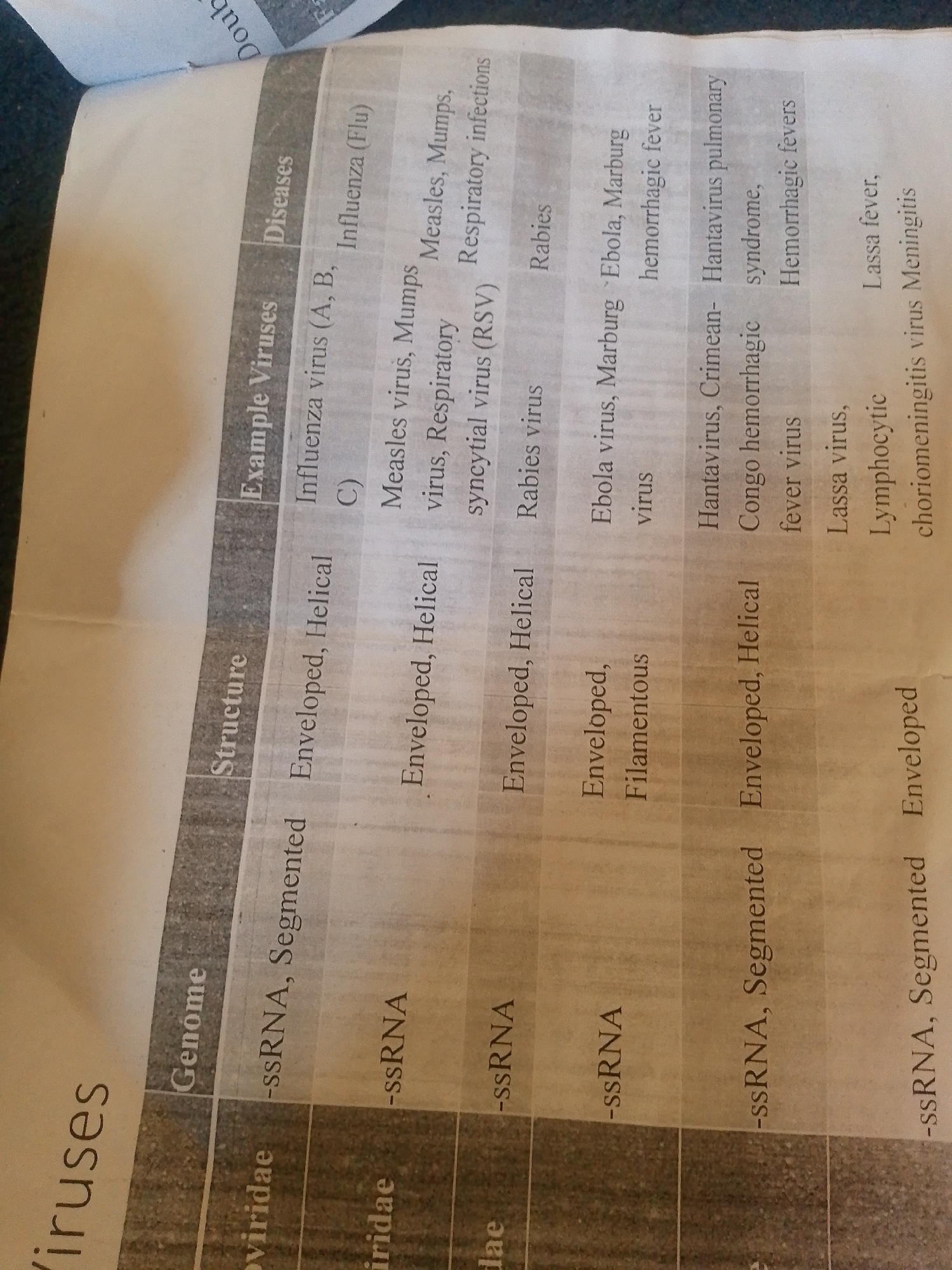 The image shows a table from what appears to be a textbook or educational material, likely related to virology. The table is laid out with columns for "Genome," "Structure," "Example Viruses," and "Diseases." The text is primarily in English, with some potentially foreign characters. The pages are slightly creased and the lighting suggests an indoor environment. The content details various types of viruses, their genetic material (RNA), structural characteristics (enveloped, helical, filamentous), specific examples of viruses (Influenza, Measles, Ebola, Hantavirus, Lassa), and the diseases they cause. There is no indication of people, a specific time of day, weather, or emotions. The provided location context of Jalingo, Nigeria, is not visually evident from the image itself.