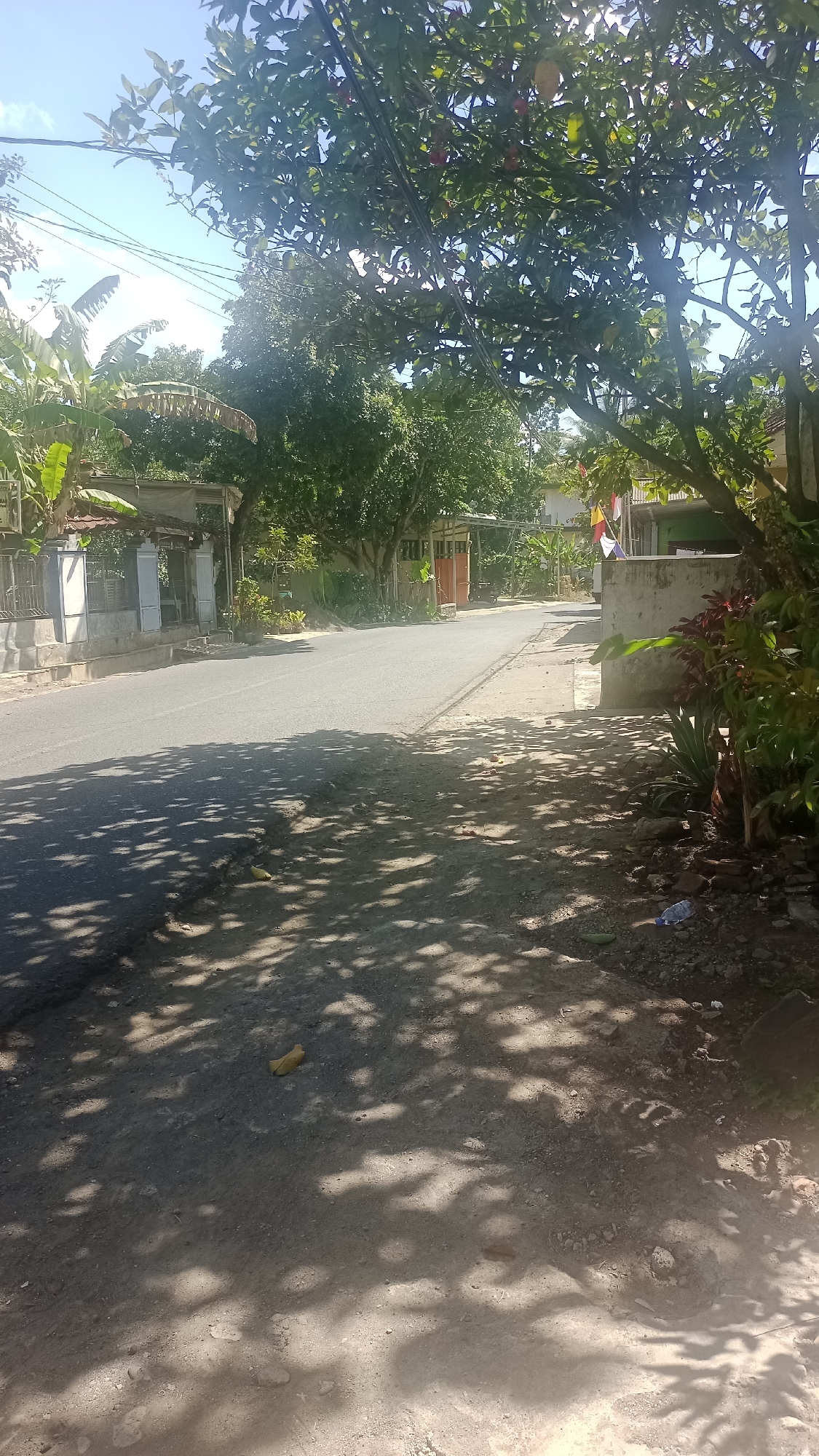 The image captures a sun-drenched street scene in Cibeber, Indonesia, likely a residential area or a quiet road leading into one. The asphalt road, showing some wear and tear, is partially covered by dappled shadows cast by overhead trees. On the left side of the road, a low-lying building with a fence and what appears to be a covered walkway is visible. Further down the road, another building with an orange door and a covered structure can be seen. The right side of the road features a concrete wall and lush green foliage, with some red-leaved plants in the foreground. The sky is a bright blue with a few wispy clouds. The overall impression is a typical, peaceful day in a tropical Indonesian town. There are no people visible in the frame.