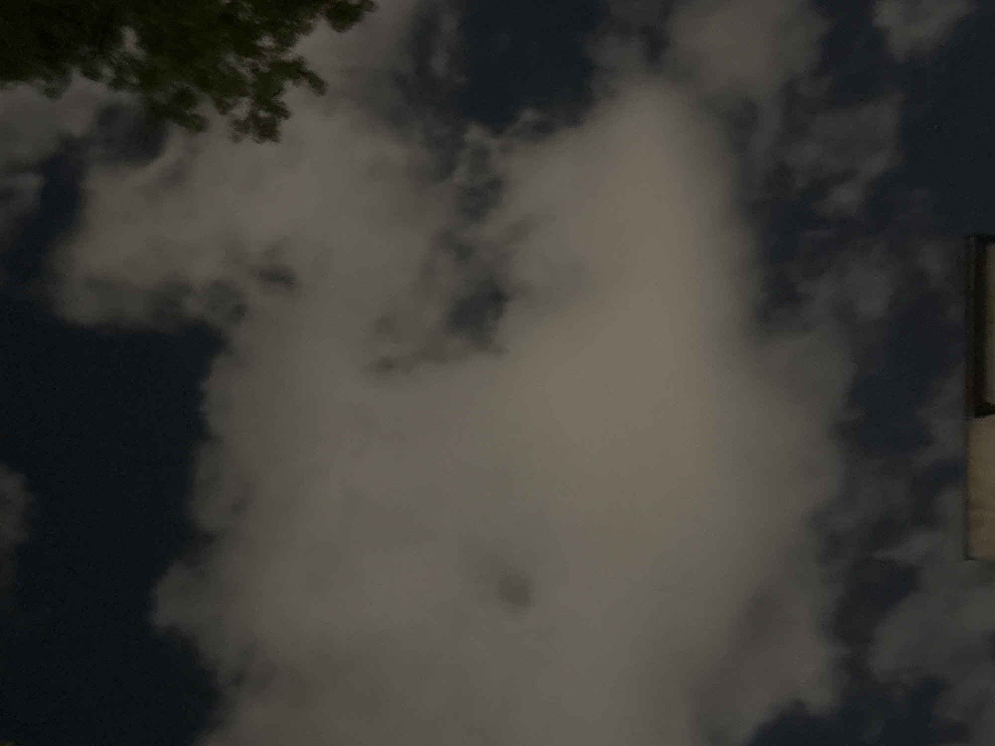 The image is an outdoor, nighttime photograph taken from a low angle, looking up at the sky. The sky is dark with scattered clouds, some of which are illuminated by an unseen light source, giving them a grayish-white appearance. A portion of a dark green tree is visible in the upper right corner of the frame, its leaves out of focus. At the bottom of the image, the edge of a building or structure is visible, appearing as a light-colored rectangular shape. The overall scene suggests an urban environment at night, possibly Plovdiv, Bulgaria, due to the context provided, although no specific landmarks or identifying features are discernible to confirm the location. There are no people or discernible actions in the image.