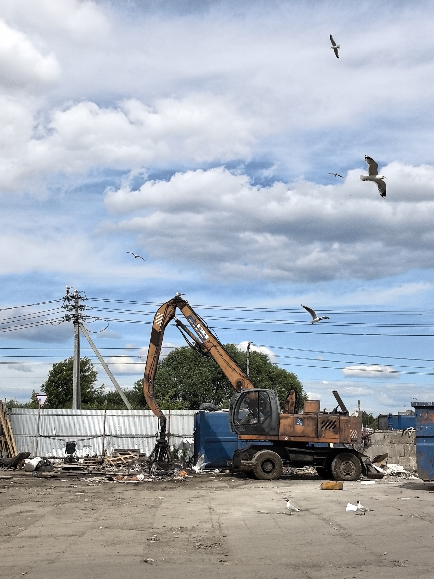 This media file captures an outdoor scene, likely in a junkyard or industrial area, under a partly cloudy sky. The primary object of interest is a large, orange excavator with a claw attachment, positioned in the center of the frame. The excavator appears weathered, suggesting it is in use or has been for some time. Surrounding the excavator is a chaotic arrangement of debris, including wooden pallets, metal scraps, and large blue dumpsters. In the background, a corrugated metal fence and trees are visible, along with utility poles and power lines, indicating an industrial or semi-rural setting.
Several seagulls are present in the image. Two are flying in the sky, and one is perched on the excavator's arm, while others are on the ground near the debris. The presence of seagulls suggests proximity to water or an environment where they are common.
The sky is a mix of blue and white clouds, indicating fair weather, possibly midday given the brightness of the scene. There is no visible human activity. The overall impression is one of industry and the processing of waste or scrap materials. The location context is identified as Novo-Talitsy, Russia. No specific text is clearly legible on any of the objects or structures.