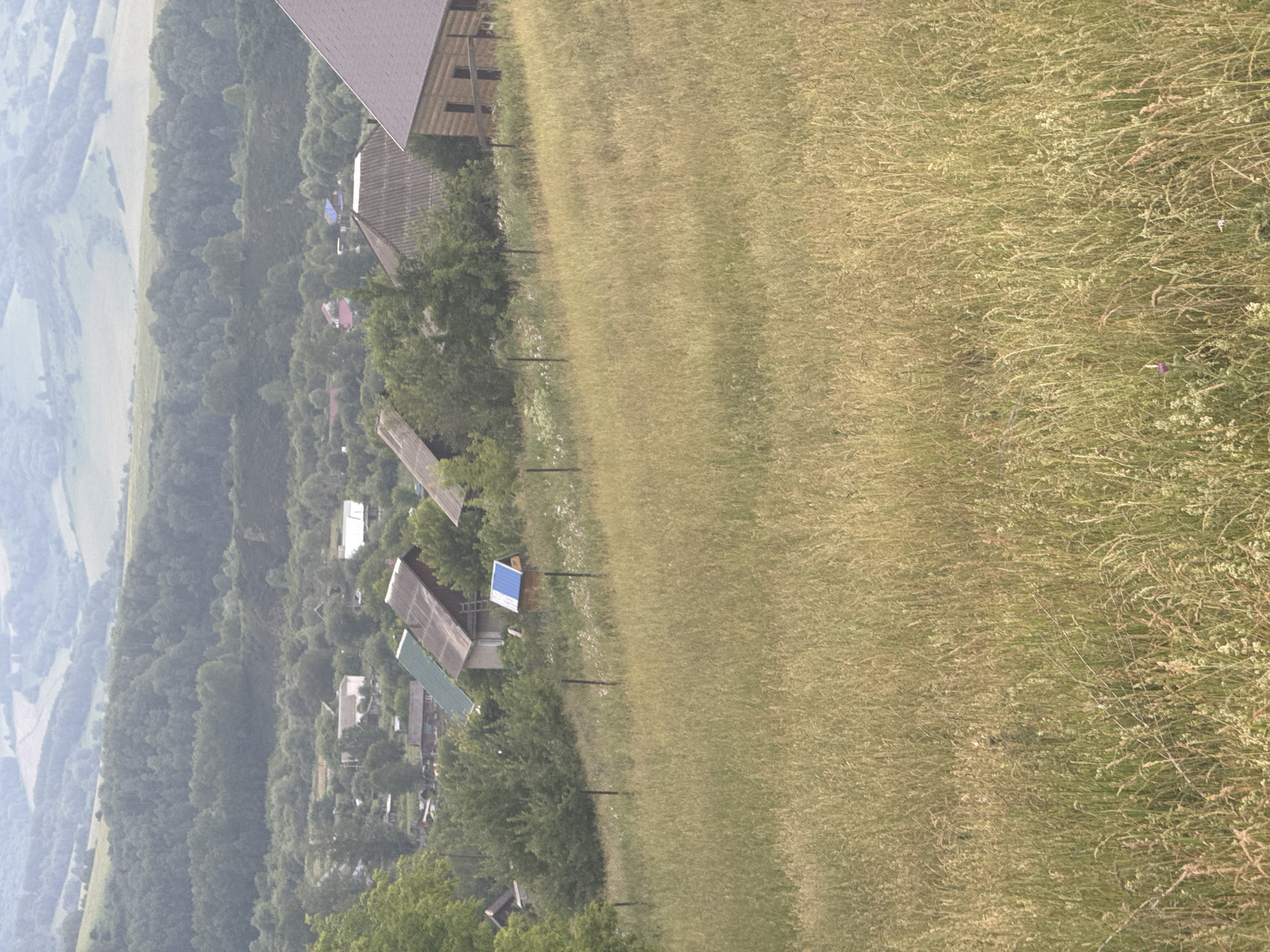 This is a high-angle, vertical photograph taken from a distance, likely from a drone or elevated position, overlooking a rural landscape in Soloneshnoye, Russia. The scene is dominated by a sloping field of dry, tall grass on the right side of the image, suggesting a summer or early autumn setting. To the left, a dense forest lines a hillside, with a winding road or path visible in the hazy distance on the far left. Scattered amongst the trees are several buildings, appearing to be houses or farm structures with predominantly dark-colored roofs, some with visible solar panels. One structure in the middle ground has a distinct blue solar panel. The overall atmosphere is peaceful and natural, with no visible people or animals. The lighting suggests it is daytime, possibly late afternoon due to the soft light and slight haze. The weather appears to be clear but hazy, obscuring distant details. The orientation of the image is vertical, making it seem as if the scene is falling away from the viewer.