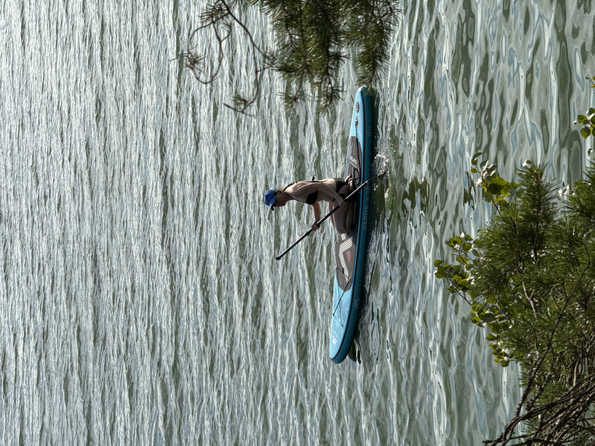 A woman is paddleboarding on a body of water near the city of Priladozhskoe, Russia. She is wearing a blue cap and a black bikini and is kneeling on the paddleboard, holding a paddle. The paddleboard is blue and has some text and graphics on it. The water is rippled and appears to be a lake or bay. There are trees and branches visible in the foreground and right side of the image, suggesting a natural setting. The lighting indicates it is daytime, possibly late afternoon given the angle of the shadows.