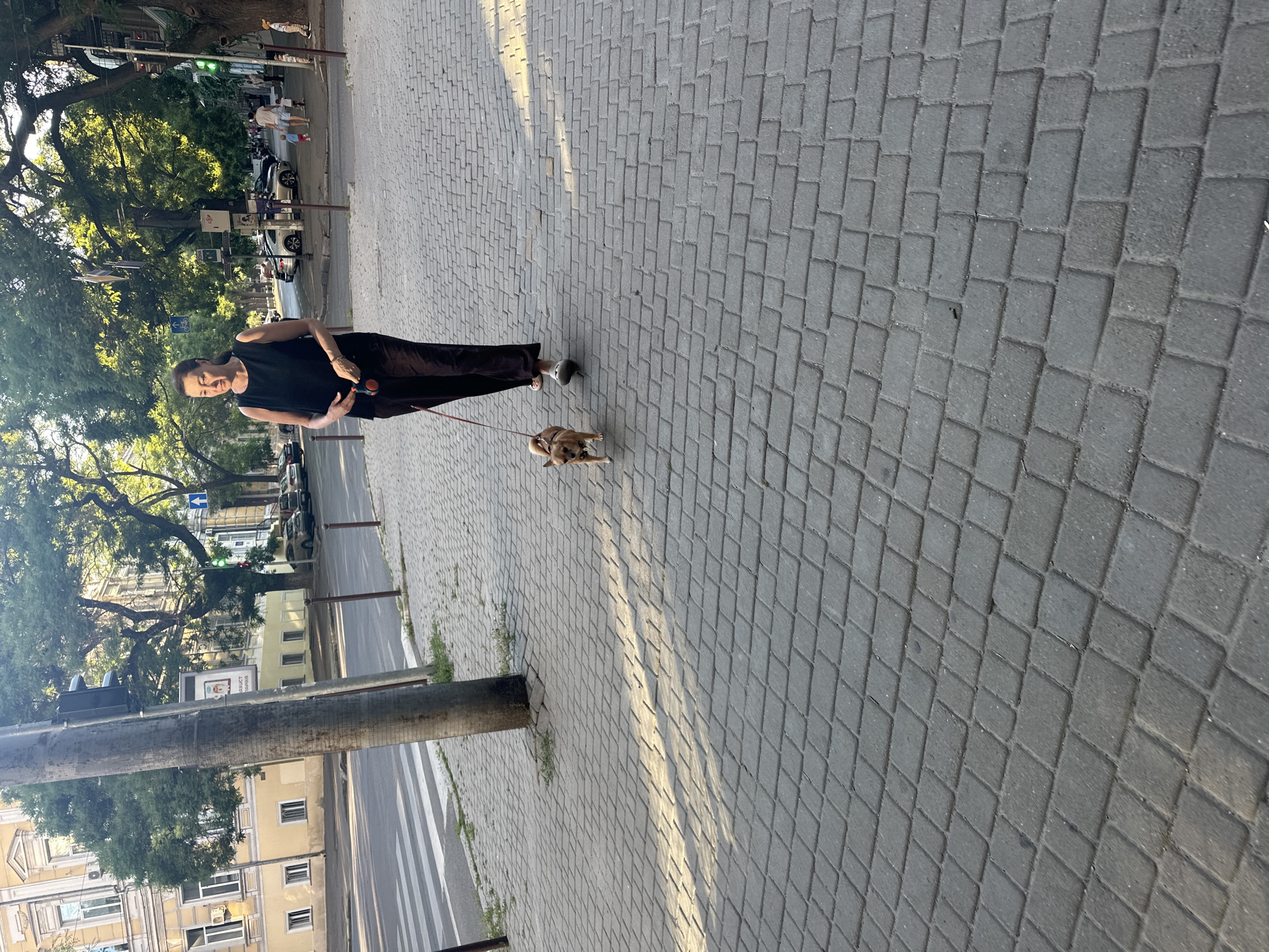 A woman with dark hair, wearing a black sleeveless top and dark pants, walks a small, light brown dog on a leash along a paved sidewalk in Odesa, Ukraine. The dog is in front of her, and she is holding the leash in her right hand. The sidewalk is made of grey interlocking pavers. To the left of the sidewalk is a street with a pedestrian crossing. Across the street, there are buildings with yellow facades and trees lining the street. Sunlight casts long shadows on the sidewalk. In the background, other pedestrians and vehicles are visible. The overall scene suggests a warm, sunny day in an urban environment.
