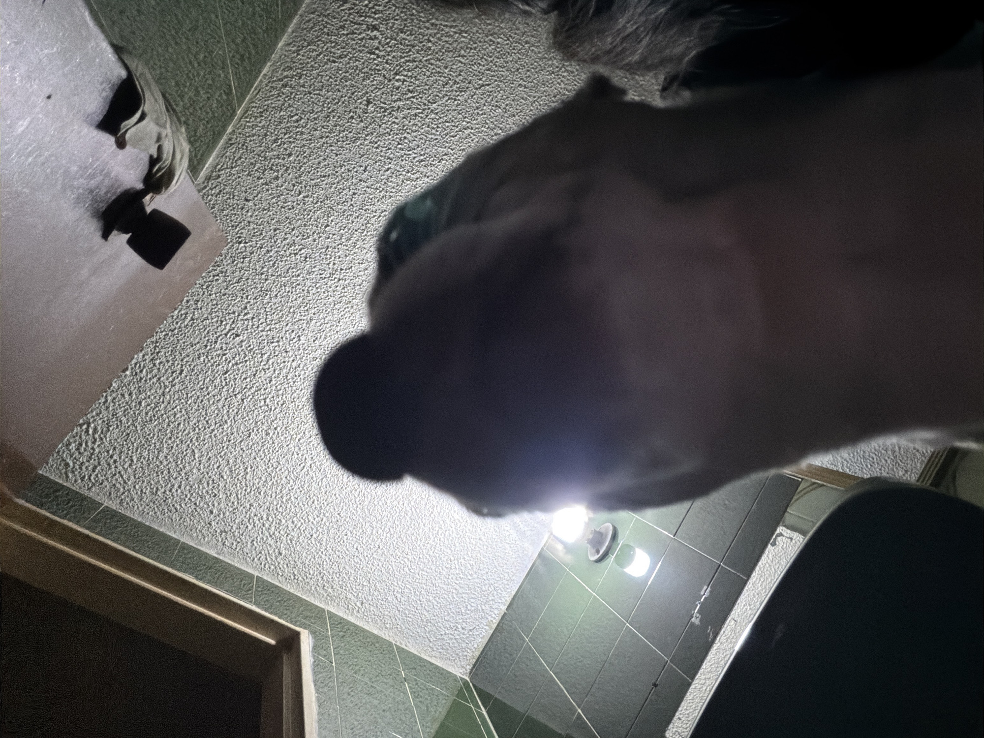 The scene is an upward-angled view of a bathroom. A dog's snout, with a prominent black nose, dominates the foreground. A ceiling with a textured surface is visible above. Below, there are green tiles and a light fixture with two bulbs. In the lower right corner, there appears to be a toilet. In the bottom left, there is an edge of a doorway. The location in Ciudad Guayana, Venezuela, cannot be determined from the visual data provided.