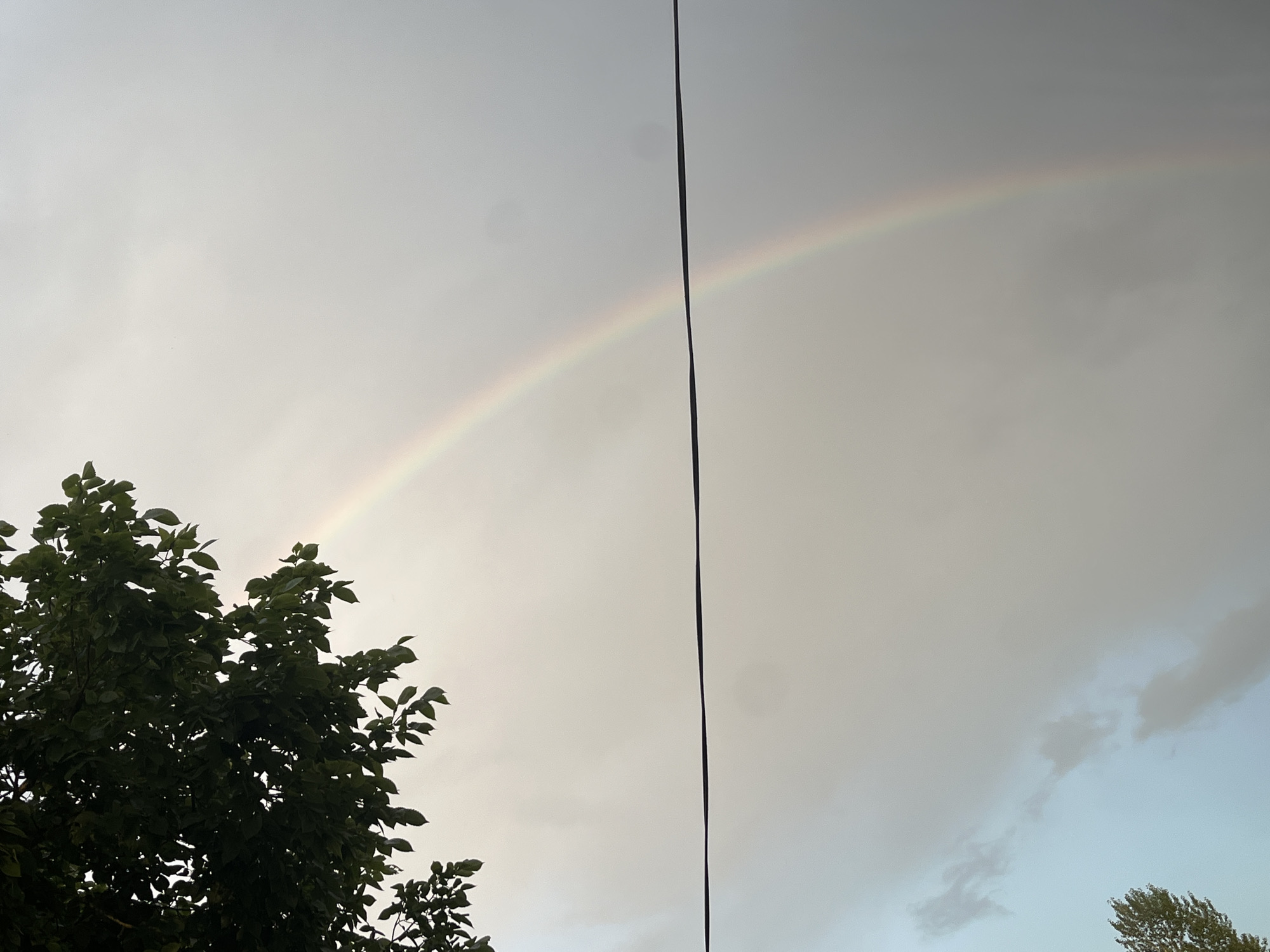 A partial rainbow arcs across a cloudy, overcast sky. The upper left of the frame is occupied by the dark green leaves of a tree. A thin, black wire stretches horizontally across the middle of the image. The scene appears to be outdoors, possibly in Kohtla-Järve linn, Estonia, given the context. There are no people or animals visible. The overall atmosphere is subdued, with the muted colors of the sky and the presence of the rainbow suggesting recent or impending rain.