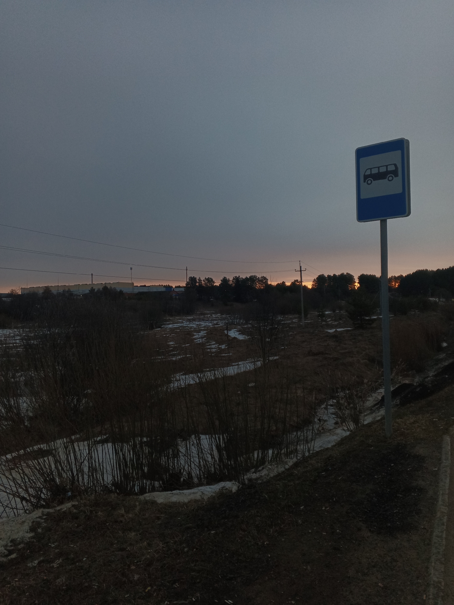 The image shows a bus stop sign on the right side of the frame in a rural or semi-rural environment, in or around Rusalevka, Russia. The sky is overcast, indicating either early morning or late evening. The ground is covered in patches of melting snow and dead vegetation. In the background, there is a building or structure and a line of trees. Power lines are also visible in the background, stretching across the horizon. The bus stop sign has a blue background with a white silhouette of a bus. The overall scene is bleak and subdued.