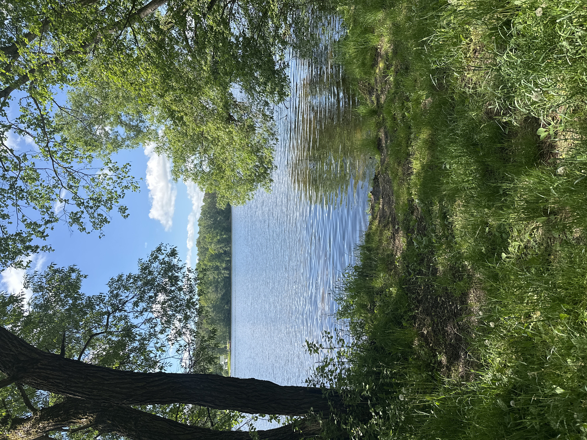 The image shows a view of a body of water, likely a lake or wide river, bordered by grassy land on one side and a dense forest in the distance. The foreground is framed by trees with green leaves. The sky is blue with scattered white clouds. Small ripples disturb the surface of the water. Based on the location provided (Папярнянскі сельскі Савет, Belarus), it is likely a natural landscape within that area.