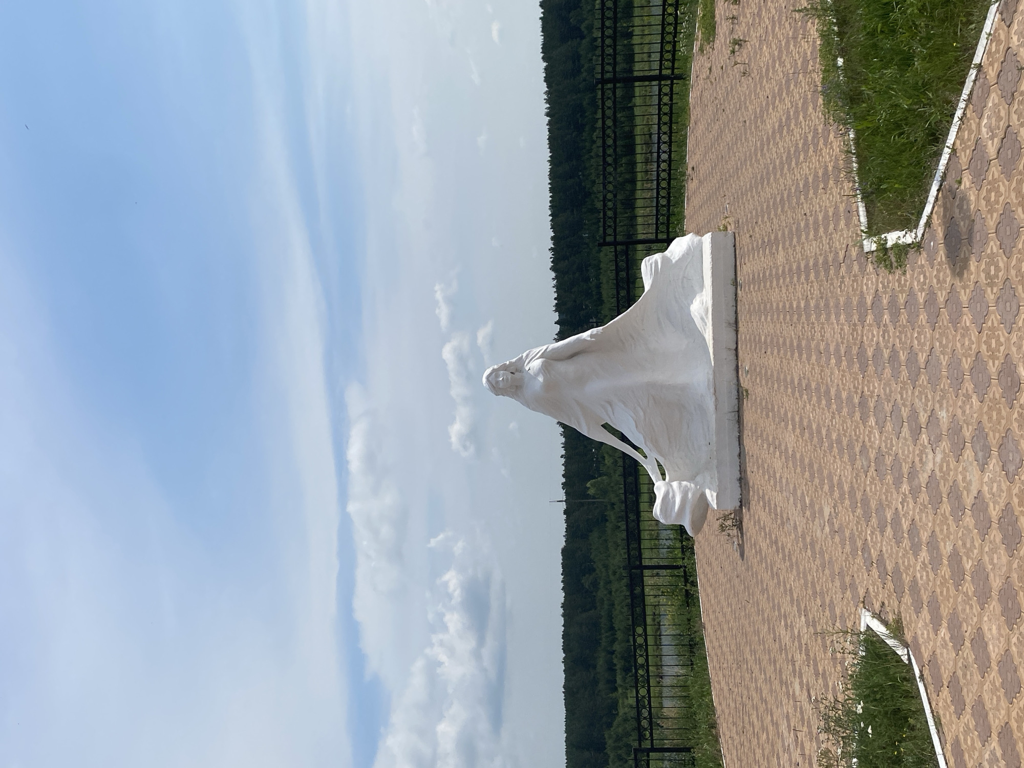 A white statue of a woman in a flowing dress stands on a patterned paved area. The statue is positioned in the foreground, with a dark fence and a dense line of trees forming the background. Beyond the trees, a body of water can be seen. The sky above is blue with scattered white clouds. The paved area is made of light brown interlocking stones, with patches of green grass and small white flowers growing around the edges. The overall scene suggests an outdoor monument or public space, possibly a park or viewpoint. The location is identified as Novomaltinsk, Russia.