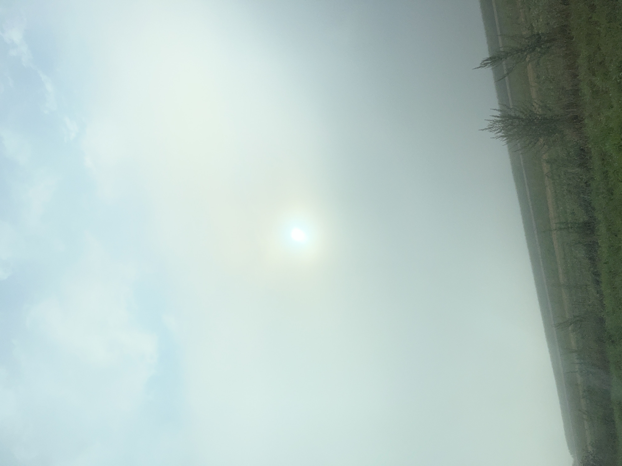 The image depicts a hazy, overcast sky with a bright, diffused sun visible near the center. The lower portion of the image shows a landscape with green grass and sparse, thin trees on a slight incline. A faint line, possibly a road or path, is visible horizontally across the middle ground. The overall scene is muted in color due to the atmospheric conditions, suggesting a foggy or misty morning. There are no people or animals visible in the image. The location is identified as Cernat, Romania, and the image appears to capture a rural or semi-rural setting.