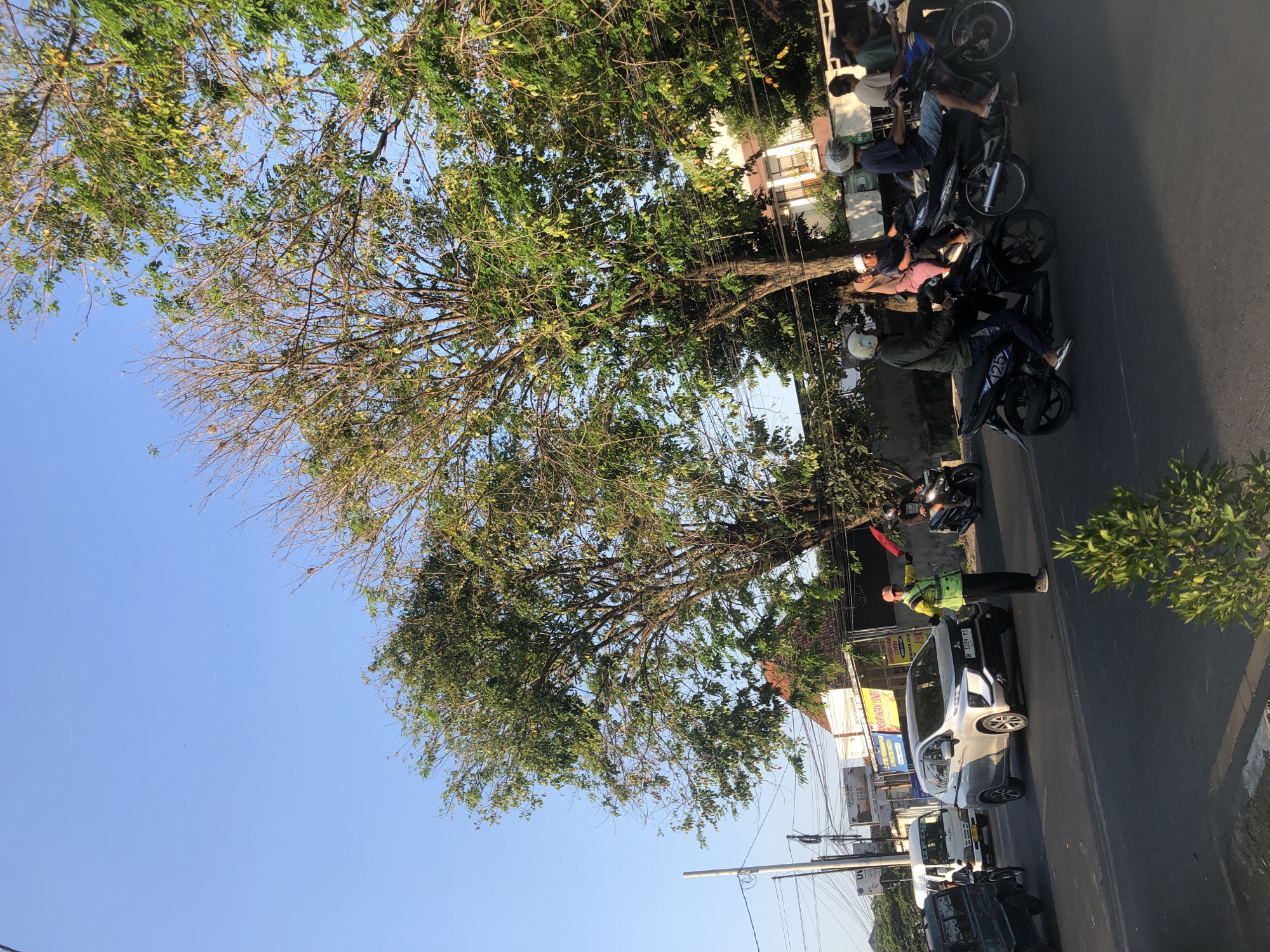 In the city of Kludan, Indonesia, a traffic controller in a bright green vest and orange hat directs traffic on a paved road. They hold a red flag in their right hand, extended outwards, and are facing left. Several motorcycles, some with passengers, are moving through the intersection. A silver SUV is stopped in front of the traffic controller, and a white van is visible behind it. The sky is clear blue, and lush green trees with some bare branches line the street, casting shadows on the road. Buildings with tiled roofs are visible in the background.