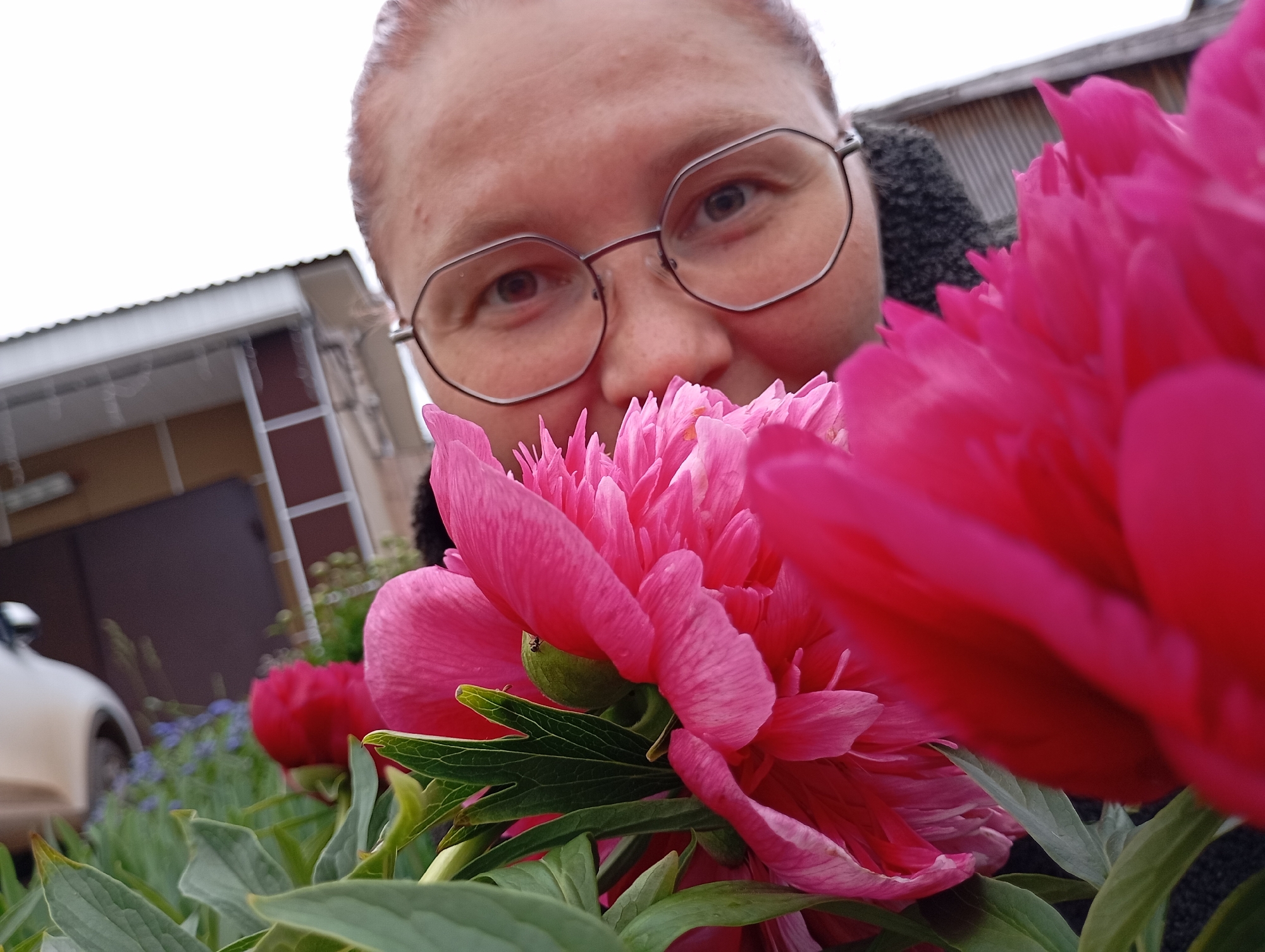 The image captures a close-up, low-angle outdoor scene in the city of Фоки, Russia, featuring an adult female partially obscured by vibrant pink peony flowers. The female, with fair skin and reddish-brown hair, wears polygonal-framed glasses and looks directly at the camera. Her upper face, including her eyes, is visible above the prominent flowers, while her nose and mouth are covered by the petals. Multiple large, fully bloomed pink peonies dominate the foreground, with green foliage and stems visible below them. A small insect is present on a green sepal of the central peony. The background is blurred, showing a light-colored corrugated roof and a darker building facade with white trim. A portion of a light-colored vehicle is visible to the left, and smaller green plants, including some blue flowers, are present in the mid-ground. The sky is overcast white.
