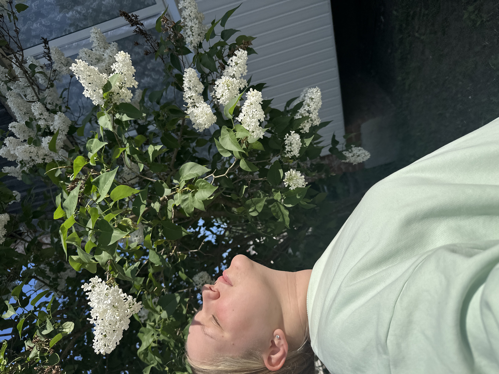 A young person with fair skin is positioned in front of a flowering bush with white blossoms and green leaves, likely in an outdoor environment. The person is wearing a light green garment and has their eyes closed, facing upwards towards the blooms. Part of a white, horizontally sided building is visible in the background above the flowering bush, while a darker area is on the far right. The sky can be seen through the leaves in the upper left. The image is rotated sideways. The city location is not discernible from the image.