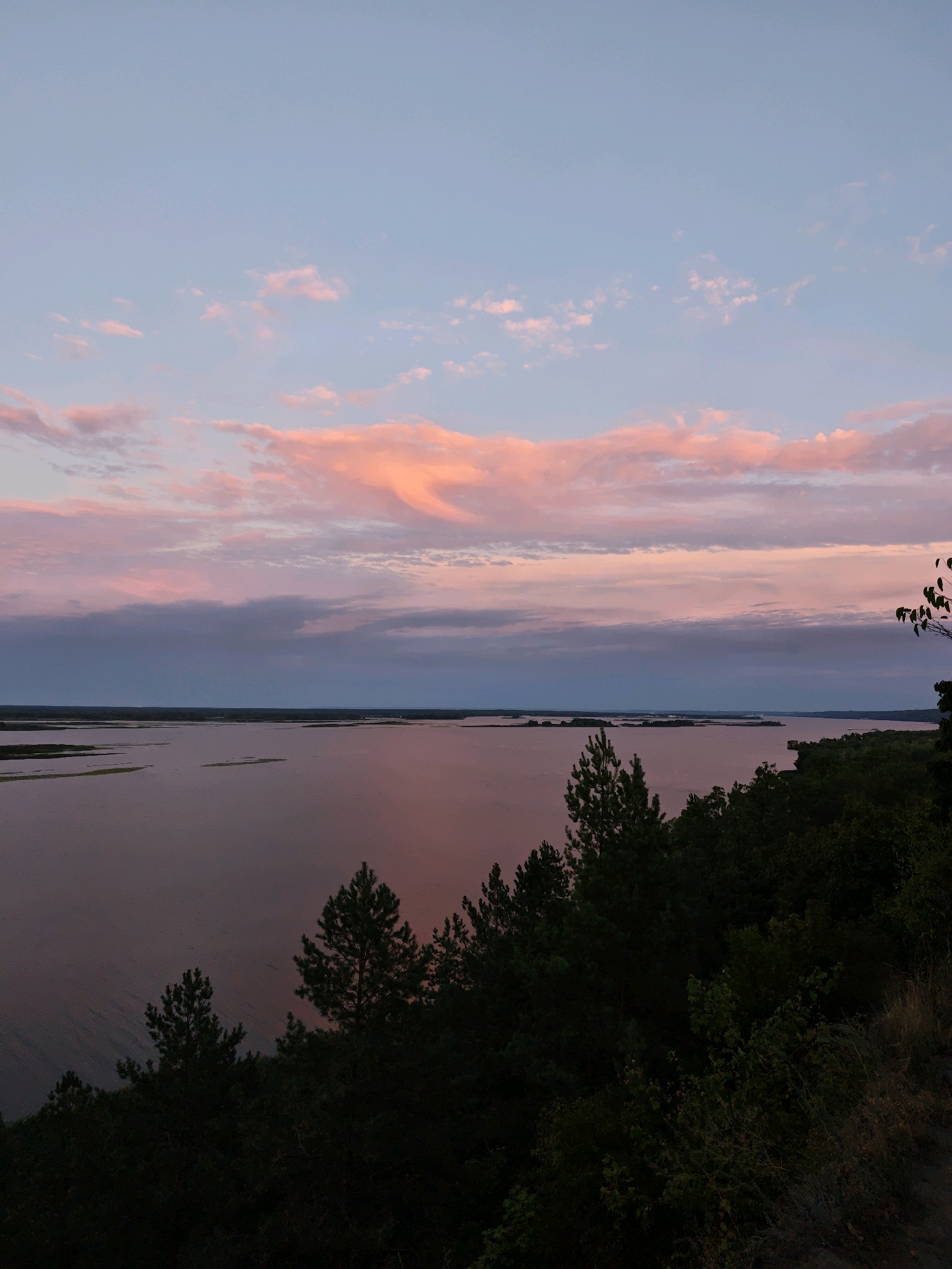 A wide shot captures a tranquil river scene at dusk, possibly near Vytachiv, Ukraine. The sky is a canvas of soft pastel colors, transitioning from pale blue at the top to hues of pink and lavender closer to the horizon. Wispy clouds are illuminated by the setting sun, creating a gentle, ethereal glow. The river itself is a broad expanse of still water, reflecting the soft colors of the sky and appearing a muted rose-pink. Small islands or sandbars, covered in patches of green vegetation, dot the river's surface. In the foreground, a dense line of dark green trees, primarily pines, creates a silhouetted border along the right bank of the river, obscuring the land beyond. A few individual branches and leaves of trees are visible against the sky on the far right. The overall impression is one of peaceful solitude and the quiet beauty of nature at the end of the day.