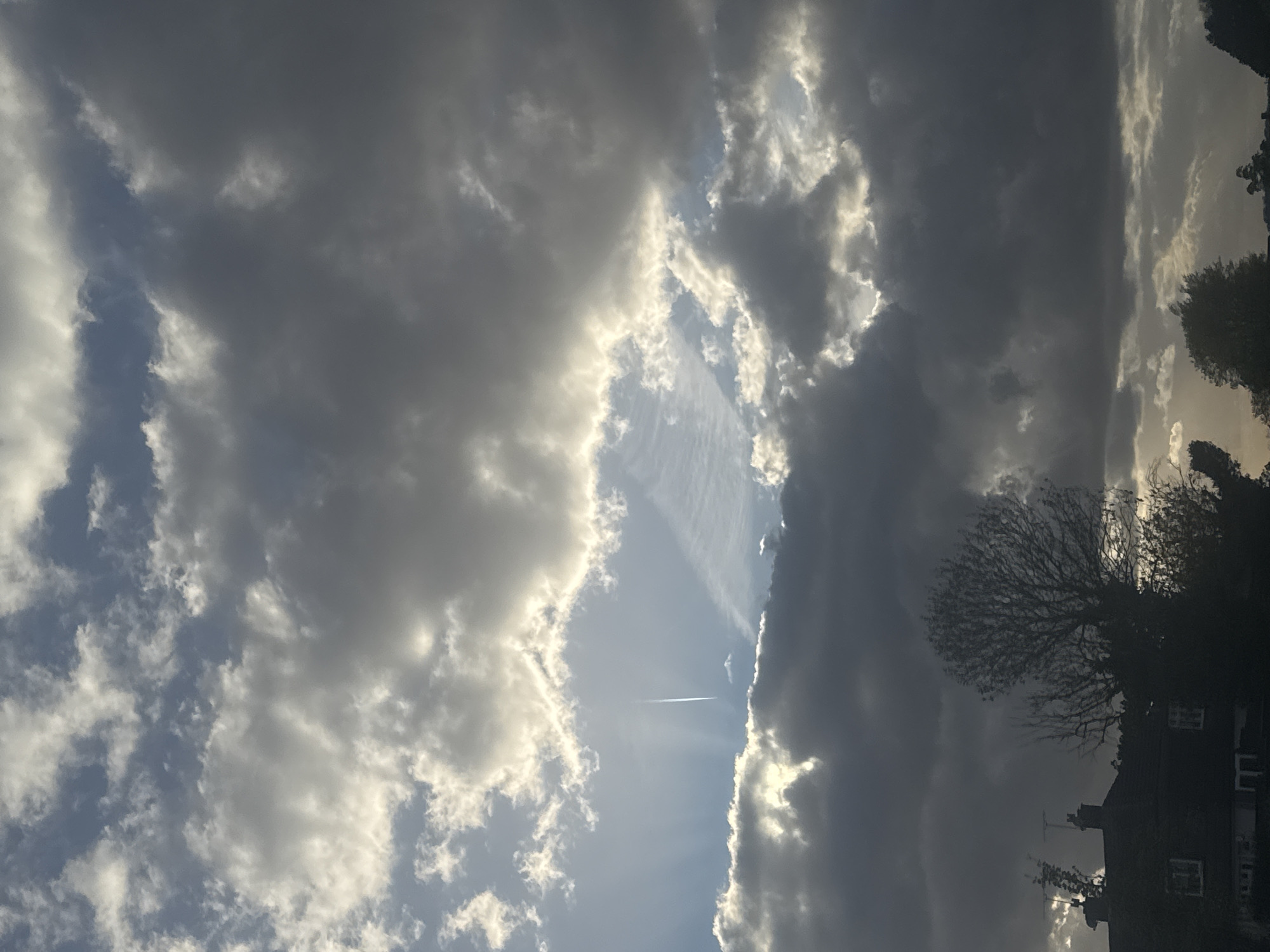 The image presents a dramatic cloudy sky, captured from a ground-level perspective. The photograph is oriented vertically, showing the sky from what would be the horizon upwards. When viewed correctly (rotated 90 degrees counter-clockwise), the sky is split by a prominent, sun-drenched diagonal band cutting through dense, dark clouds.
The dominant subjects are the clouds themselves, displaying a stark contrast between dark, grey masses and bright, illuminated edges where sunlight breaks through. A clear, blue-sky channel is visible, particularly in the central portion. Within this bright channel, a distinct white contrail from an airplane stretches across, with the tiny silhouette of the aircraft visible near its origin. The sun's rays appear to be piercing through the cloud cover, creating a radiant glow.
On the right side of the image, silhouetted against the turbulent sky, are the bare branches of a large, mature tree, suggesting a late autumn or winter season. Beneath the tree, the dark outlines of residential rooftops and upper stories of houses are visible, hinting at a suburban or semi-urban setting.
The strong interplay of light and shadow, with the sun low in the sky, indicates either early morning or late afternoon, likely around sunrise or sunset. The weather appears dynamic, with heavy cloud cover interspersed with patches of clear sky. The location is consistent with London, United Kingdom, as indicated by the typical architectural style of the houses and the general atmospheric conditions. There is no visible text in the image.