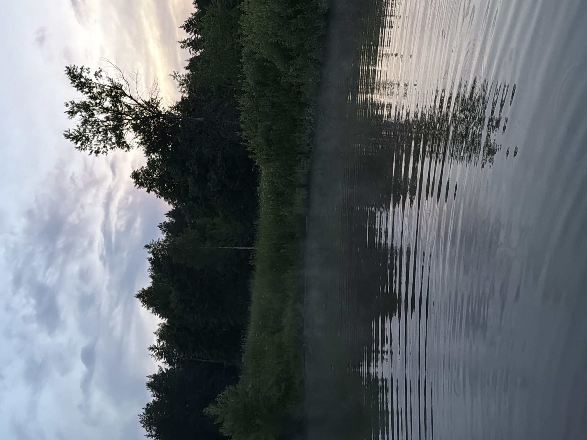 The image captures a serene natural landscape in Reshetnikovo, Russia, during what appears to be either dawn or dusk. The scene is bisected horizontally by a dark treeline, separating a cloudy sky from a body of water and its immediate bank.
The sky, occupying the upper portion, presents an overcast condition with varying shades of grey and light blue clouds, showing a subtle luminescence towards the upper right, indicative of a low sun. Below the sky, a dense forest comprising dark green coniferous and deciduous trees forms the horizon. A singular, taller tree with a somewhat sparse, multi-branched crown stands out against the brighter part of the sky on the right side of the treeline.
Below the main forest, a strip of vibrant green vegetation, consisting of grasses and shrubs, lines the bank of the water body. A faint, ethereal mist or fog hovers just above the water's surface along this bank, particularly visible on the left and center.
The lower two-thirds of the image are dominated by a dark, calm body of water, likely a river or lake. Its surface exhibits numerous concentric ripples and wavelets, suggesting gentle movement, and subtly reflects the subdued light of the sky and the dark forms of the trees. No human figures, animals, or man-made objects are discernible within the frame, indicating an undisturbed natural environment.
