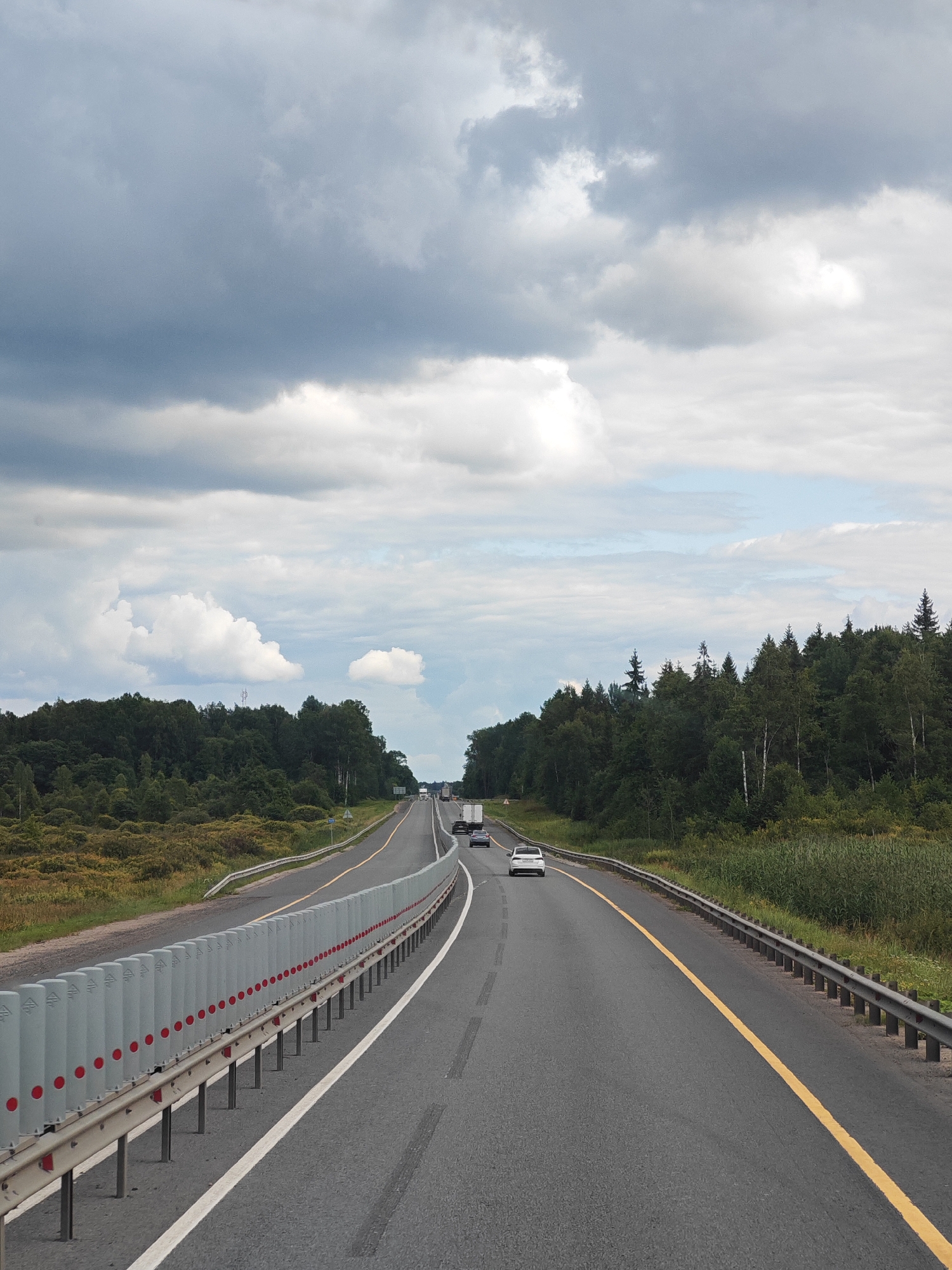 This is a vertical, eye-level, wide shot of a highway on a cloudy day. The road is asphalt with a yellow line marking the center and a white line marking the right lane. On the left, a guardrail with red reflectors runs along the side of the highway, separating it from a vegetated embankment. On the right, a metal guardrail lines the edge of the road, with dense green forest beyond it. The sky is filled with dramatic, dark gray clouds with patches of white and some lighter blue sky visible. Several vehicles, including cars and trucks, are driving on the highway in the distance. The scene appears to be in a rural or suburban area, possibly on the outskirts of Ямская Слобода, Russia, given the presence of a highway and forested landscape.