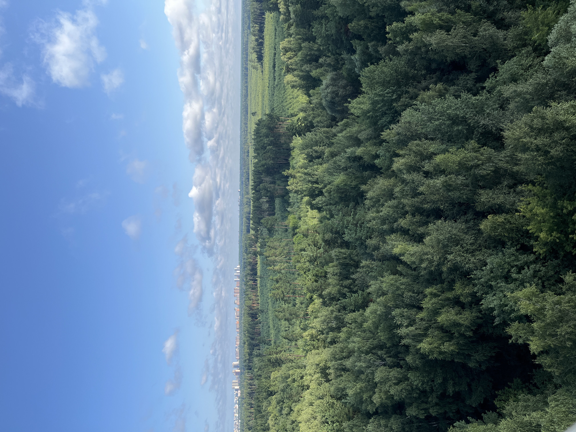 The image presents a panoramic aerial view of a vast forest with a city skyline in the distance. The foreground and mid-ground are dominated by dense, green foliage of deciduous and coniferous trees, indicating a natural or parkland environment. The forest canopy is varied in texture and color, suggesting different tree species and growth stages.
In the background, a horizontal line of buildings forming a city skyline stretches across the horizon. These buildings appear to be residential high-rises and other urban structures, characterized by their uniform height and distinct architectural features. They are situated beyond the expanse of the forest, suggesting the city borders or is situated within a relatively close proximity to this green area.
The sky above is a clear blue, punctuated by scattered white clouds, some of which are puffy and distinct, while others are wispy. The lighting suggests it is daytime, likely morning or afternoon, with the sun illuminating the landscape.
The context provided indicates this scene is located in Balashikha, Russia. This implies the forest is likely a nature reserve, park, or a green belt area adjacent to the urban development visible in the distance. The presence of such a large forested area within proximity to a city is characteristic of planned urban development that aims to integrate green spaces. There are no people or specific actions depicted; the scene is a static landscape observation.