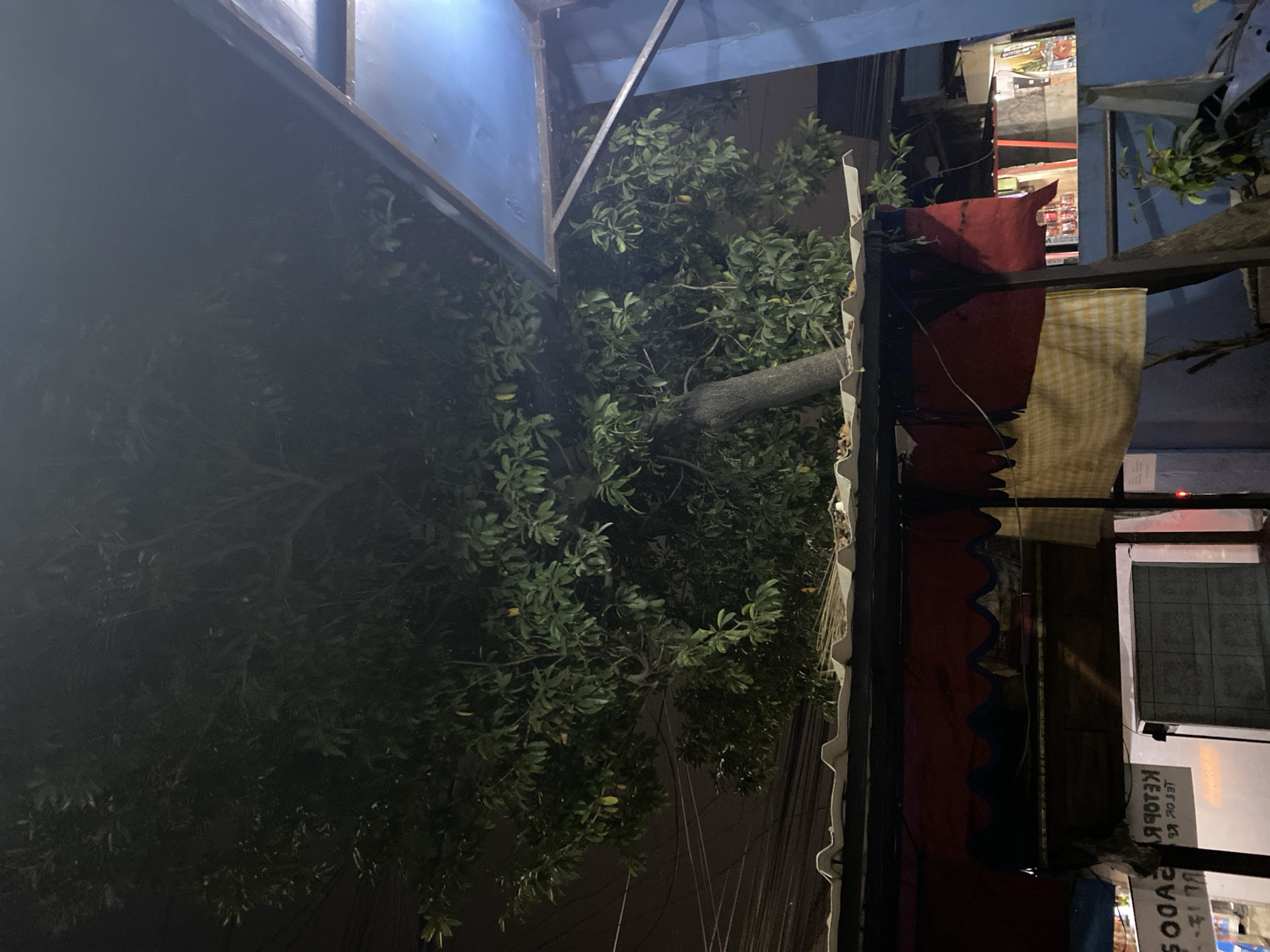 The image depicts an outdoor scene at night, possibly in Tangerang, Indonesia. A large, leafy tree dominates the upper half of the frame, its branches extending over a corrugated metal roof of a stall or small building. The stall has a red and blue tarp covering the front, with a yellow checkered cloth hanging in the middle. Electrical wires are visible above the tree. To the right, a blue structure with a metal frame extends into the frame, suggesting it might be part of a larger building or awning. Signs with text are visible on the stall, though the text is partially obscured and reversed in some areas. The overall lighting is dim, characteristic of nighttime illumination from artificial sources.
