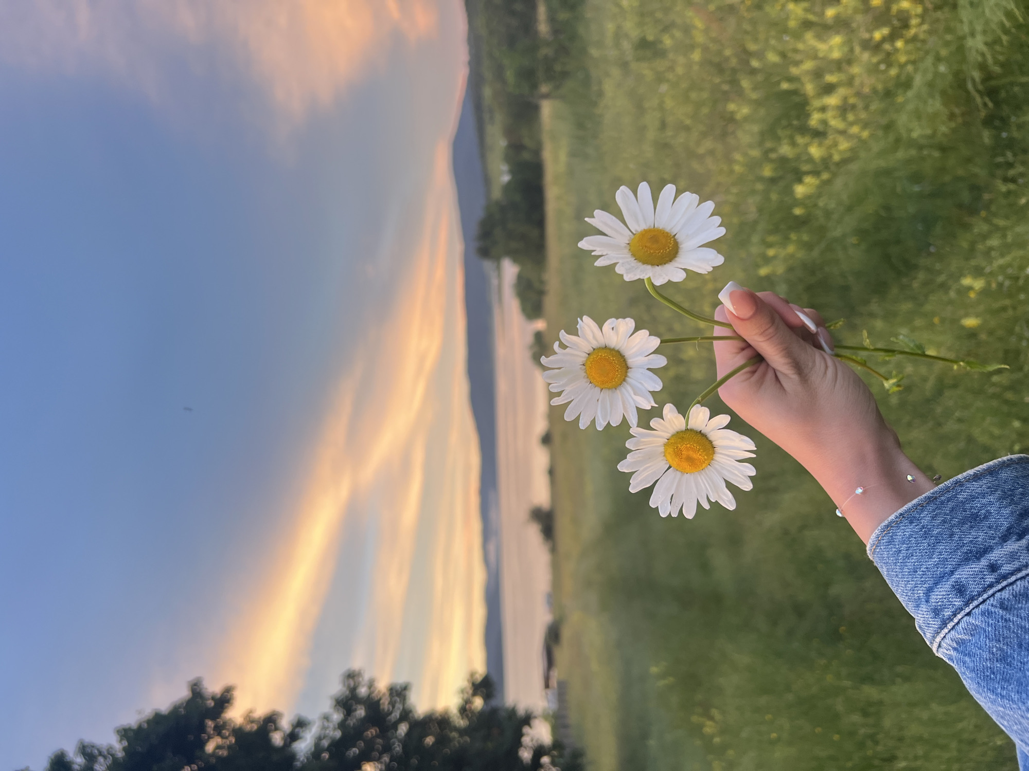 This is a close-up, vertical, eye-level shot of a person's hand holding a bouquet of four daisies. The hand has manicured nails with a French manicure. The person is wearing a denim jacket and a delicate bracelet made of thin wire with small, iridescent beads. The background is a vibrant green field, blurred to emphasize the flowers. In the distance, a body of water, likely a lake, separates the field from a hazy, tree-lined shore and a soft, mountainous landscape. The sky above is a clear blue, with streaks of warm orange and yellow from the setting sun. The overall mood is serene and peaceful, evoking a sense of nature and tranquility. The time of day is sunset, indicated by the warm colors in the sky. The location cues suggest a natural setting near a body of water and mountains, consistent with Batak, Bulgaria. There is no visible text in the image.