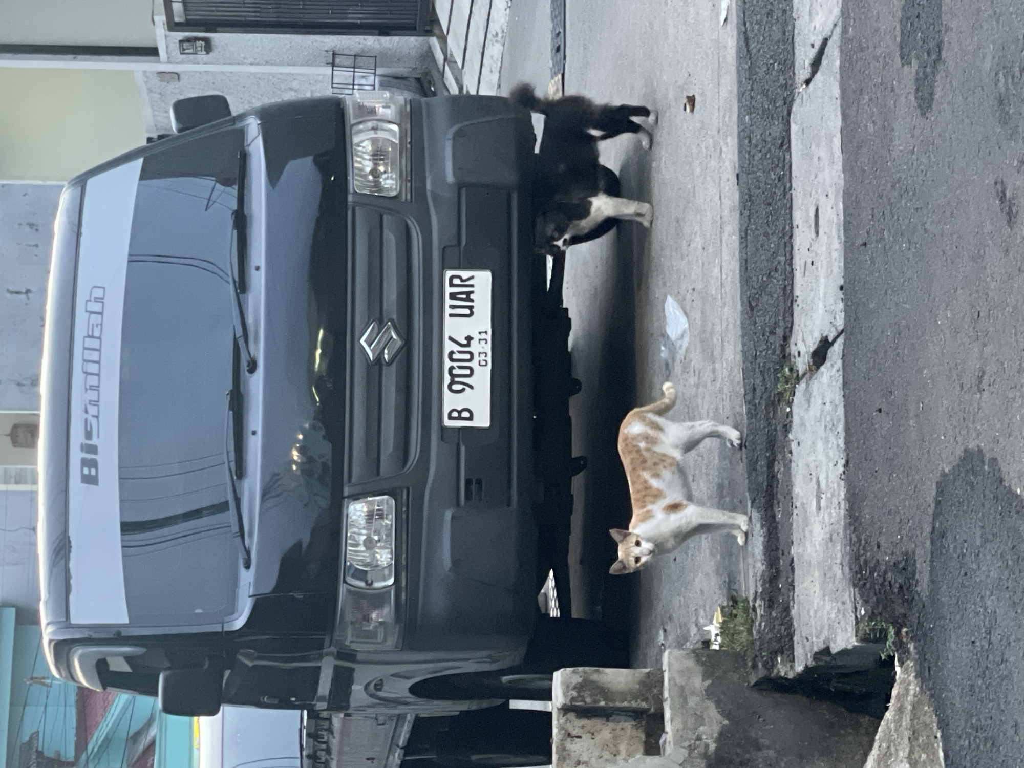 The scene shows a black Suzuki Carry pickup truck parked on a street in North Jakarta, Indonesia. The vehicle has a white stripe on the front and the word "Bismillah" written on it. The license plate number is "B 9004 UAR", expiring in March 2031. Two cats are visible near the front of the truck, one is black and white, and the other is orange and white. The environment appears to be an urban residential area with concrete sidewalks.