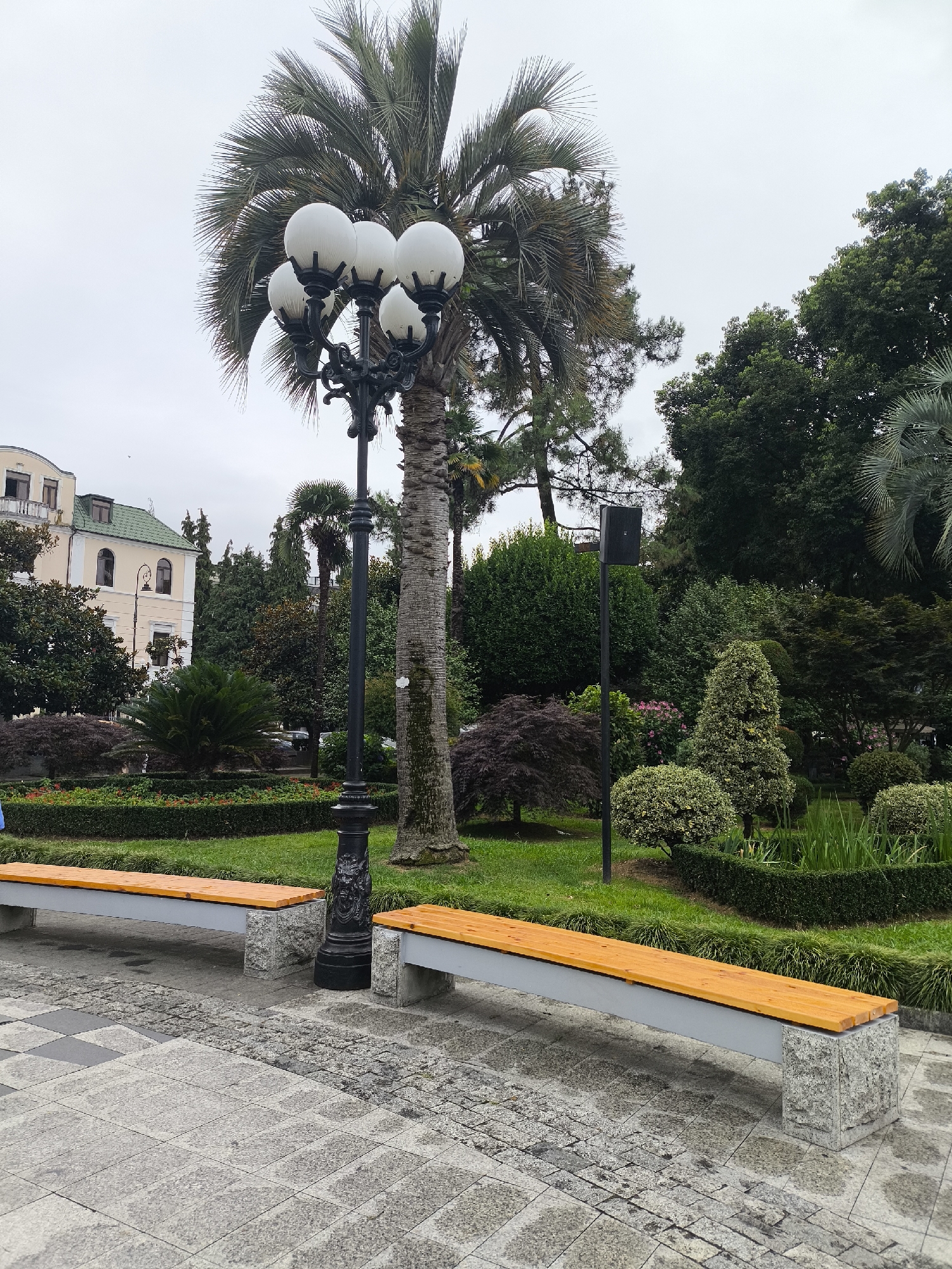 A park scene in Batumi, Georgia features a paved walkway with two modern wooden benches with stone bases. A tall, black lamppost with five white globes stands behind the benches. A prominent palm tree with lush fronds is to the right of the lamppost, and other various trees and manicured bushes fill the background. A building with a green roof and cream-colored facade is visible on the left. The sky is overcast.