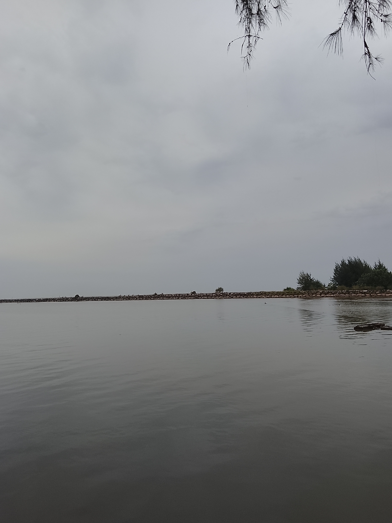A calm, grey body of water fills the foreground of the image. In the middle ground, a stone breakwater stretches horizontally across the scene, its rough texture contrasting with the smooth water. A small cluster of trees is visible on the right side of the breakwater, with more trees and foliage further in the distance. The sky above is overcast and a uniform grey. In the top corners of the image, dark, silhouetted branches of a tree hang down, their fine needles stark against the pale sky. The scene appears to be a natural coastal environment, possibly the shore of Reudeuep, Indonesia.