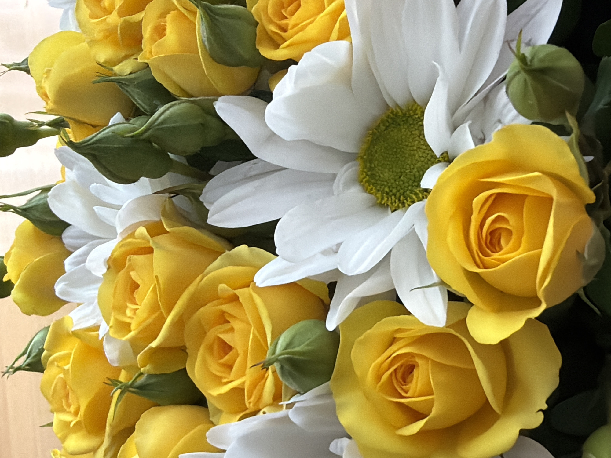 The image shows a close-up of a bouquet of yellow roses and white daisies. The yellow roses are in various stages of bloom, with some buds still closed and others fully open. The white daisies have yellow-green centers. The flowers are tightly packed together. The background is a light brown color.