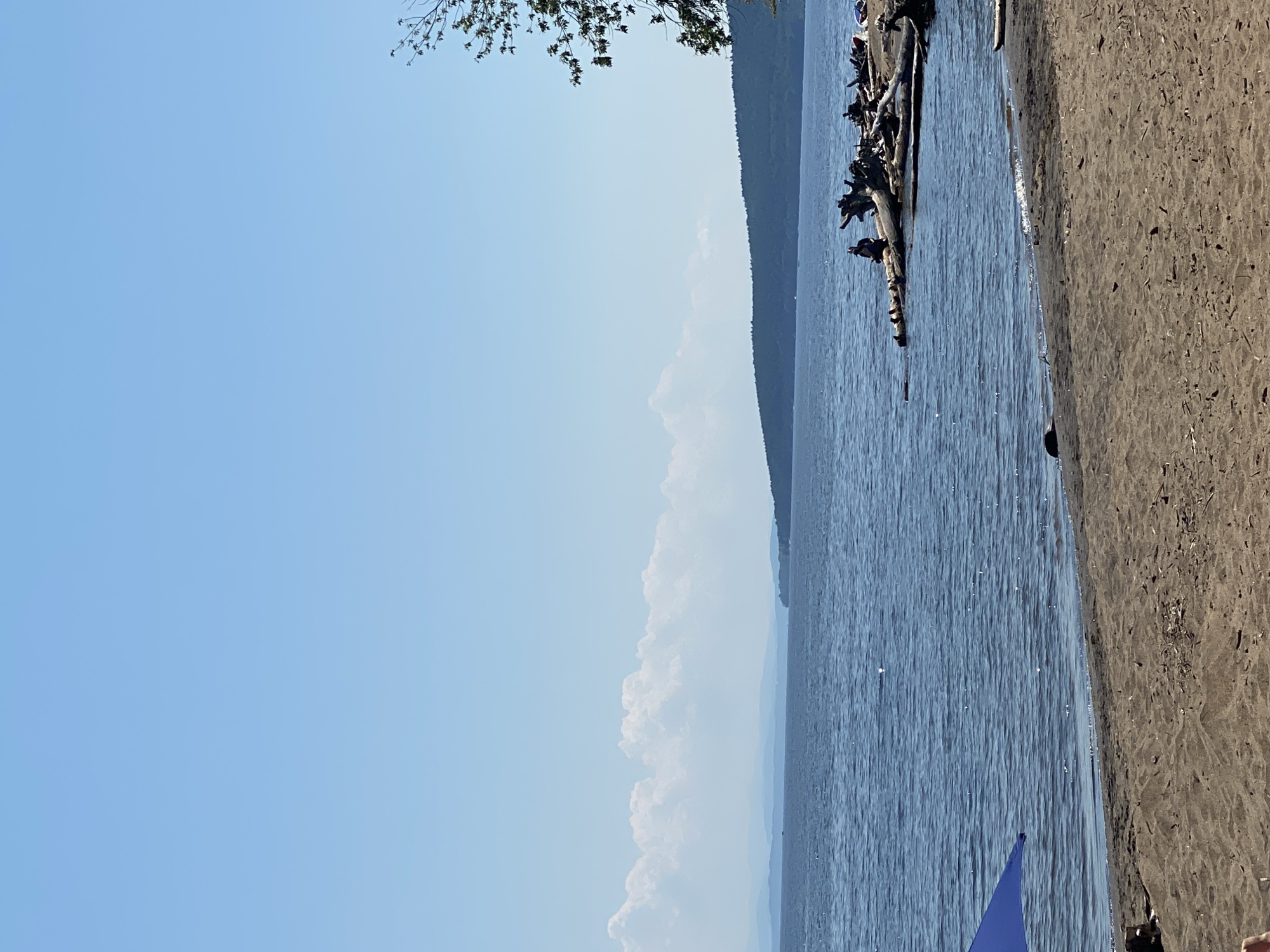 The image depicts a lakeside scene on a clear, sunny day. The sky is a vibrant blue with a few scattered white clouds. The water of the lake is calm and reflects the light, with a visible tree branch extending from the upper left corner. A sandy shore runs along the right side of the image. In the water, there is a piece of driftwood with several branches. A small blue object, possibly part of a boat or flag, is visible in the lower right corner of the water. The background shows a densely forested hillside. The overall mood is peaceful and serene, suggesting a leisurely day outdoors.