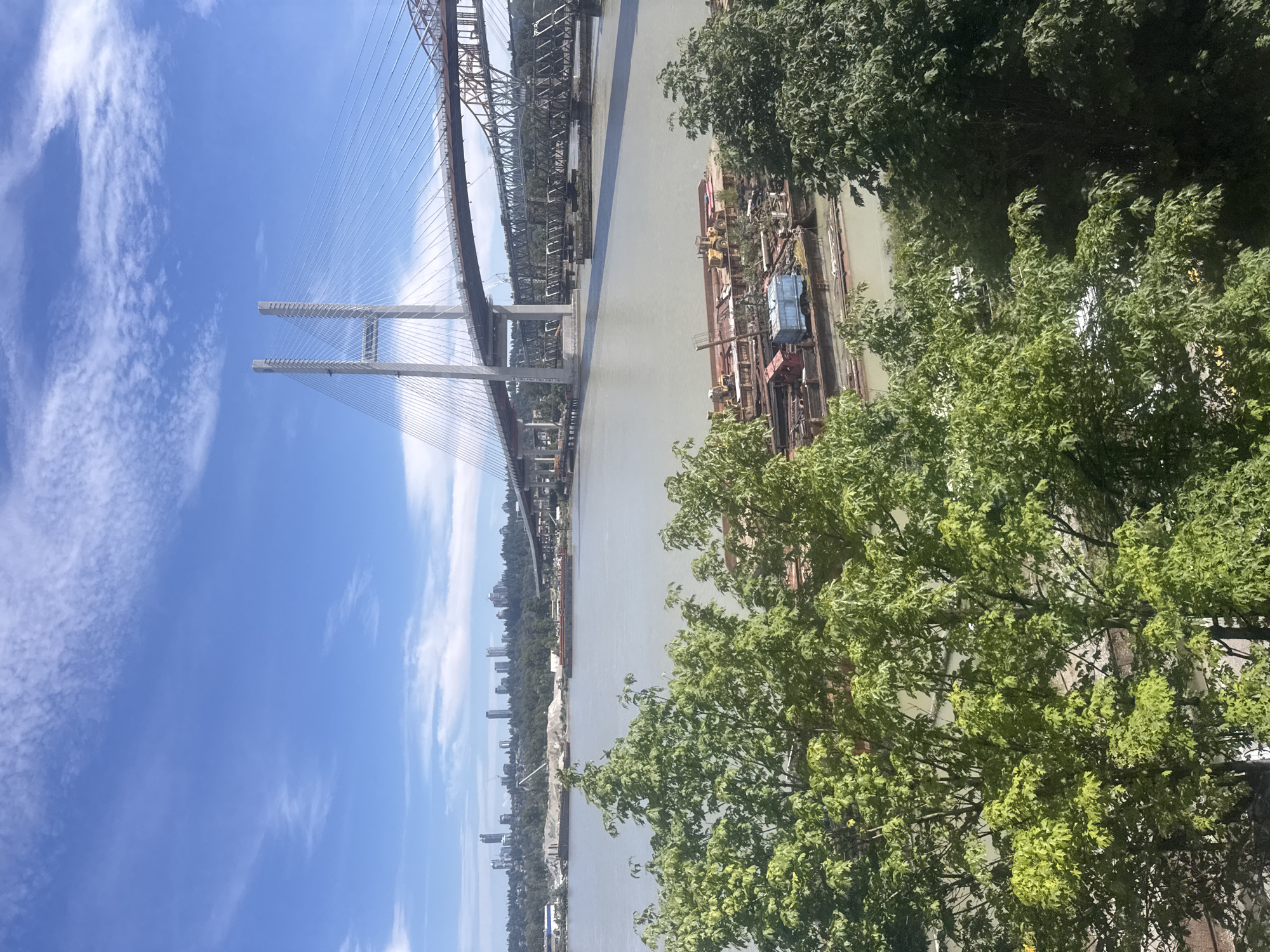This image captures a view of the Fraser River in New Westminster, Canada, dominated by a large suspension bridge and an older truss bridge. The sky is a clear blue with scattered white clouds. In the foreground, lush green trees partially obscure the view. The river itself is a muted grey-brown, with several barges and construction equipment docked along its banks. In the distance, the New Westminster skyline is visible, featuring several tall buildings. The scene appears to be a daytime shot, likely taken from an elevated position overlooking the river and bridges.