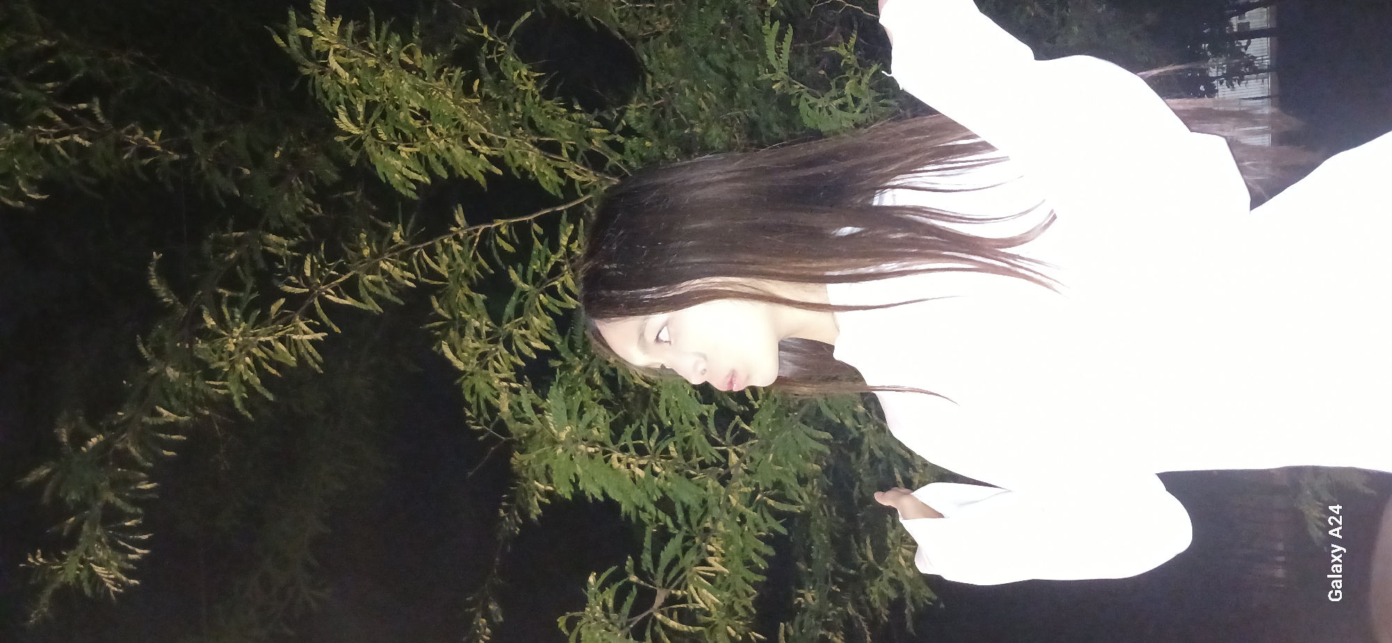 An outdoor, waist-up shot taken at night shows a young woman with dark hair, wearing a white hooded sweatshirt, in profile to the left, with her mouth pursed. She is looking to the left with her face tilted up and her right arm is raised. Her left arm is extended to the left. Behind her, a dark, leafy tree branches out with some leaves illuminated by light, creating a dark and light contrast. The lower left corner of the image contains the text "Galaxy A24." The overall setting appears to be in a city, potentially Bishkek, Kyrgyzstan, given the provided information.