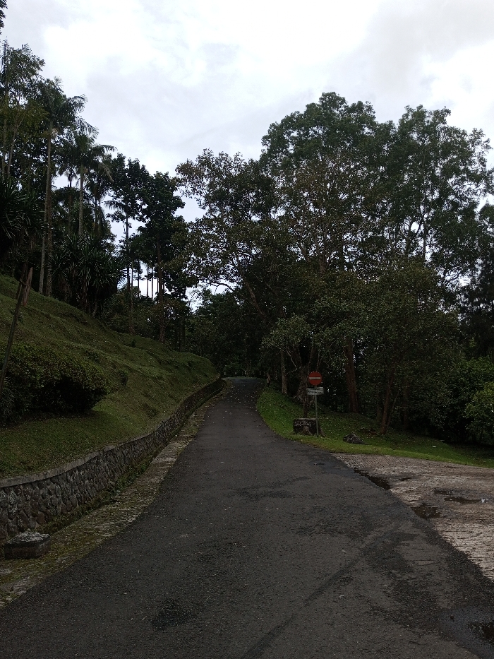 A paved road cuts through a verdant landscape under an overcast sky. Lush vegetation, including tall trees and a grassy embankment reinforced with a stone wall, lines the road. A "do not enter" sign stands beside the road. The asphalt surface appears dark, and a paved area with puddles suggests recent rain. The scene evokes a sense of tranquility and nature.