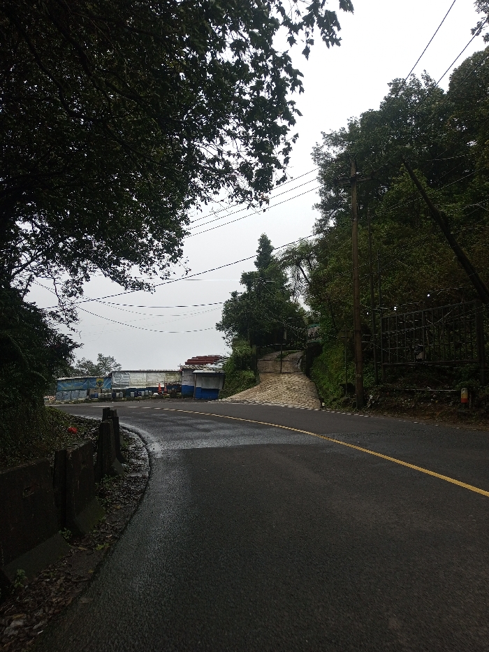 The image displays an asphalt road in Deothang, Bhutan, under an overcast sky. The road, visibly wet, features a single yellow centerline and curves gently to the left in the foreground, ascending slightly. On the left side of the road, a low concrete barrier separates the pavement from a dirt embankment covered in vegetation, beneath a large tree with dark green foliage that fills the upper left portion of the frame. Multiple utility lines are strung horizontally across the upper mid-ground. On the right side, a steep, densely treed slope rises, featuring a prominent dark utility pole and a large, dark metal gate with a patterned design, leading to an uphill, unpaved path. In the mid-ground, beyond the road's curve on the left, a collection of makeshift structures, characterized by various colored tarpaulins (blue, white, red) and corrugated metal, are visible, accompanied by several cylindrical containers on the ground. No individuals or vehicles are present.