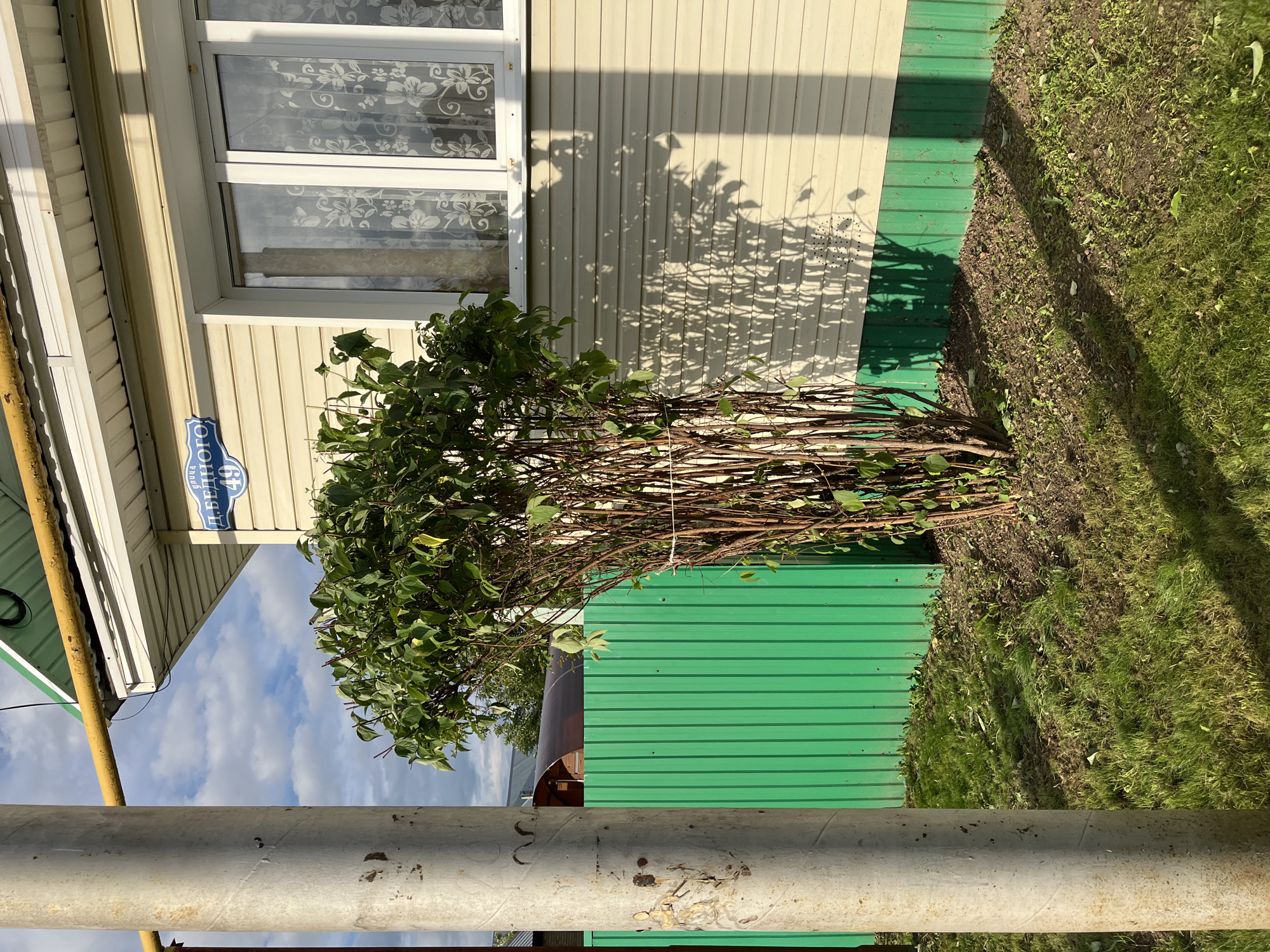 A street sign that reads "ул. Д. ДЫМНОГО 49" is affixed to the side of a light-colored, single-story house. The house has a white-framed window with floral curtains and is sided with horizontal panels. A bright green corrugated metal fence runs along the front of the property, with a patch of mown grass in front of it. A tall, thin bush with dark branches and green leaves stands in front of the fence, near the house. A thick, grey metal pipe, likely a utility pole, is positioned to the left of the frame, partially obscuring the view of the fence and bush. The sky is partly cloudy, and the sun casts long shadows across the grass and house. The setting appears to be a residential area in the city of Ufa, Russia.