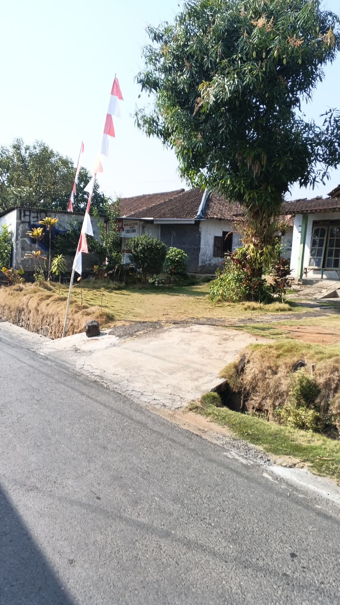 The image shows a residential street in an outdoor setting. In the foreground, a paved road curves to the right, with dry grass and some vegetation lining the side. In the middle ground, there are several houses with tiled roofs, some appearing old and weathered. Indonesian flags, red and white, are flying from poles on the left side of the scene. A large tree with dense foliage dominates the right side of the image, its trunk covered in vines. The sky is clear and blue, indicating a sunny day. The overall impression is of a rural or semi-urban environment.
