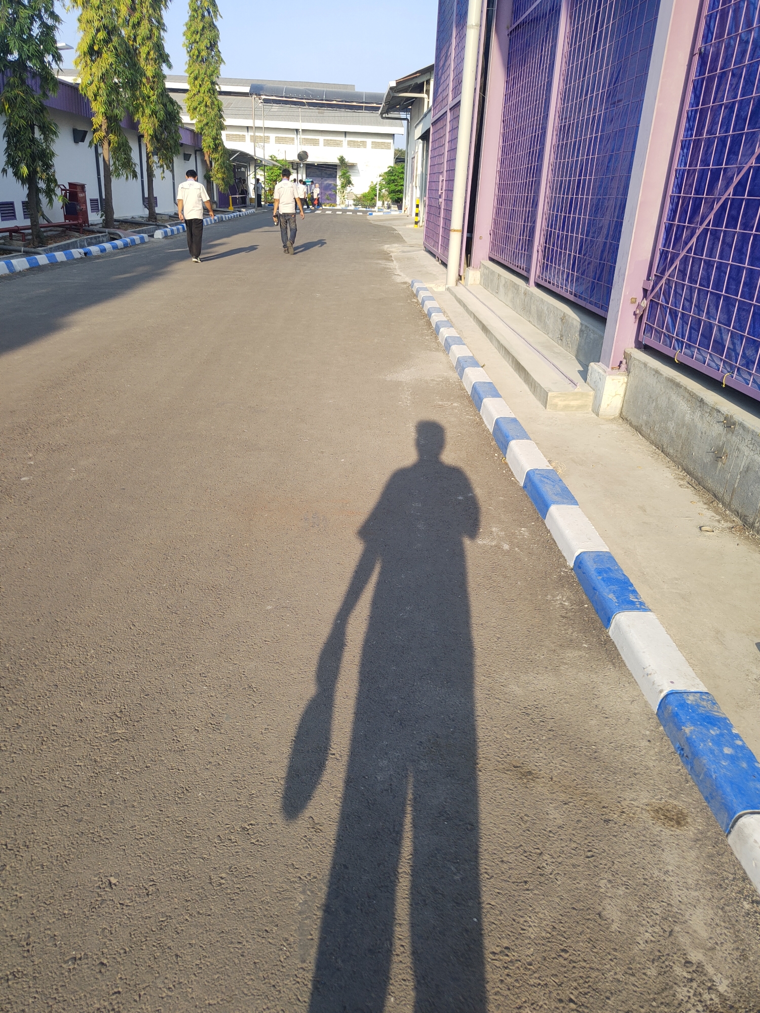 In the city of Raci, Indonesia, a paved pathway runs alongside a modern industrial building. The pathway is bordered on one side by a curb painted with alternating blue and white blocks, and on the other by a gray concrete walkway. The building features a light-colored facade and a large, purple-netted structure along its side. Tall, slender trees with green foliage are planted along the building's perimeter. Two individuals in white shirts and dark pants are walking away from the camera on the pathway. A long shadow, cast by the photographer, stretches across the paved surface, depicting a person holding a flat, rectangular object. The sky above is clear and blue, suggesting a bright, sunny day.