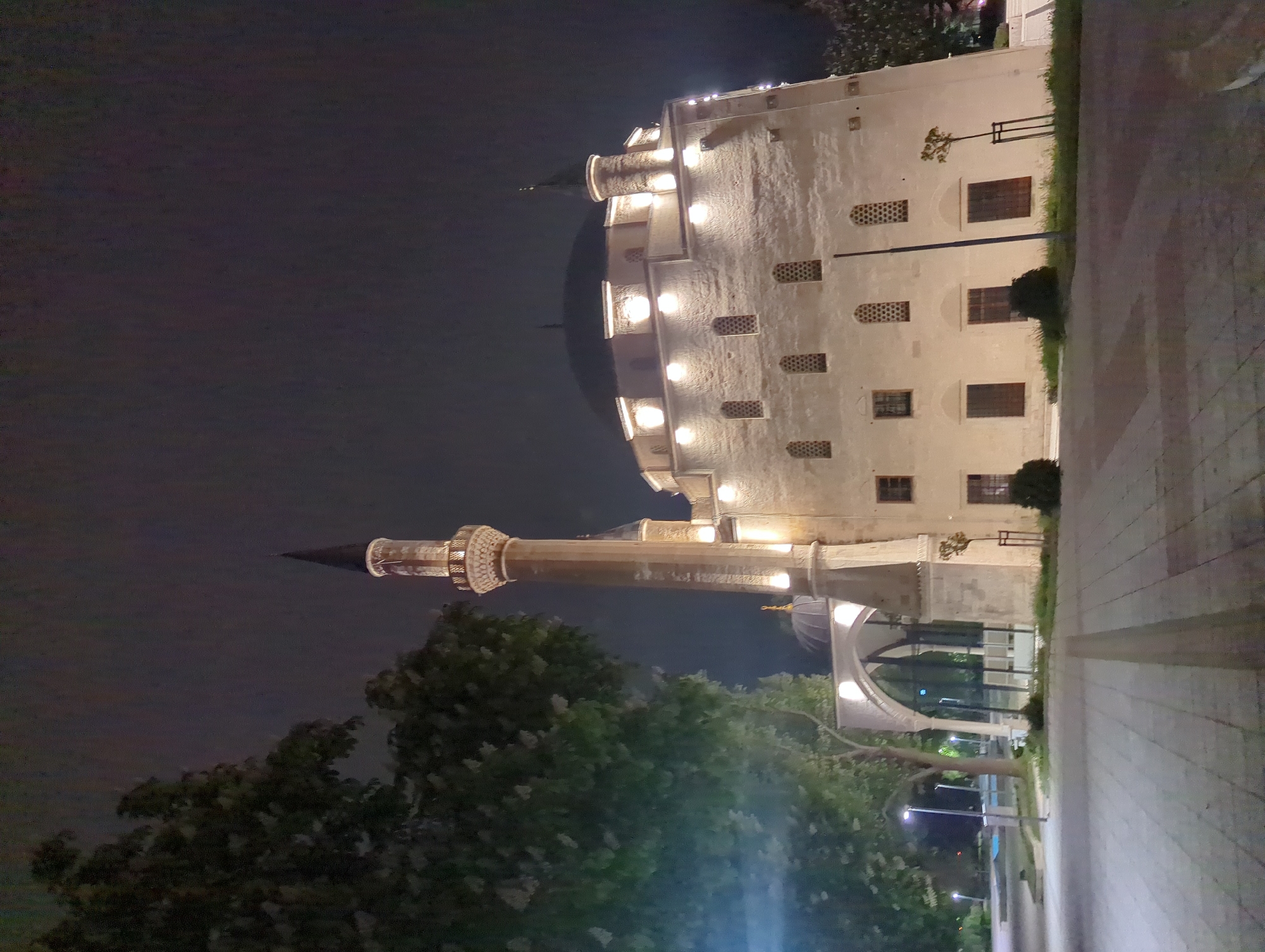 At night, a mosque with a tall minaret is brightly illuminated. The structure is light-colored with a rounded central dome and multiple small windows. Lights are arranged around the dome and along the building's facade. The minaret is slender and towers above the trees. A tree with light-colored blossoms partially obscures the lower portion of the minaret. The area around the mosque appears to be paved with stone or concrete tiles. This appears to be the Ibrahim Pasha Mosque, located in the city of Razgrad, Bulgaria.