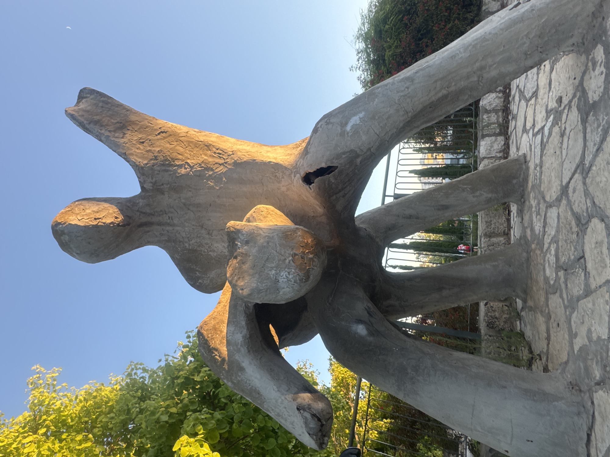 A large, weathered concrete sculpture of two intertwined figures is set in an outdoor park environment. The sculpture, which appears abstract and somewhat damaged with visible cracks and missing pieces, is lit by the warm, low light of what seems to be sunrise or sunset. The figures are in a dynamic pose, with one appearing to lift or embrace the other.
The sculpture is situated on a paved ground made of irregular, light-colored stones. Behind the sculpture, a metal fence with vertical bars encloses the area. Beyond the fence, there are lush green trees and bushes, some of which are lit by the same warm sunlight. In the distance, several tall, slender trees are visible, as well as some buildings. A person in red and white clothing can be seen walking in the background, near the fence, with a bicycle also present. The sky is a clear, bright blue.
This sculpture is located in Ramat Gan, Israel. Specifically, it is one of the sculptures in the Sculpture Garden within the National Park of Ramat Gan.