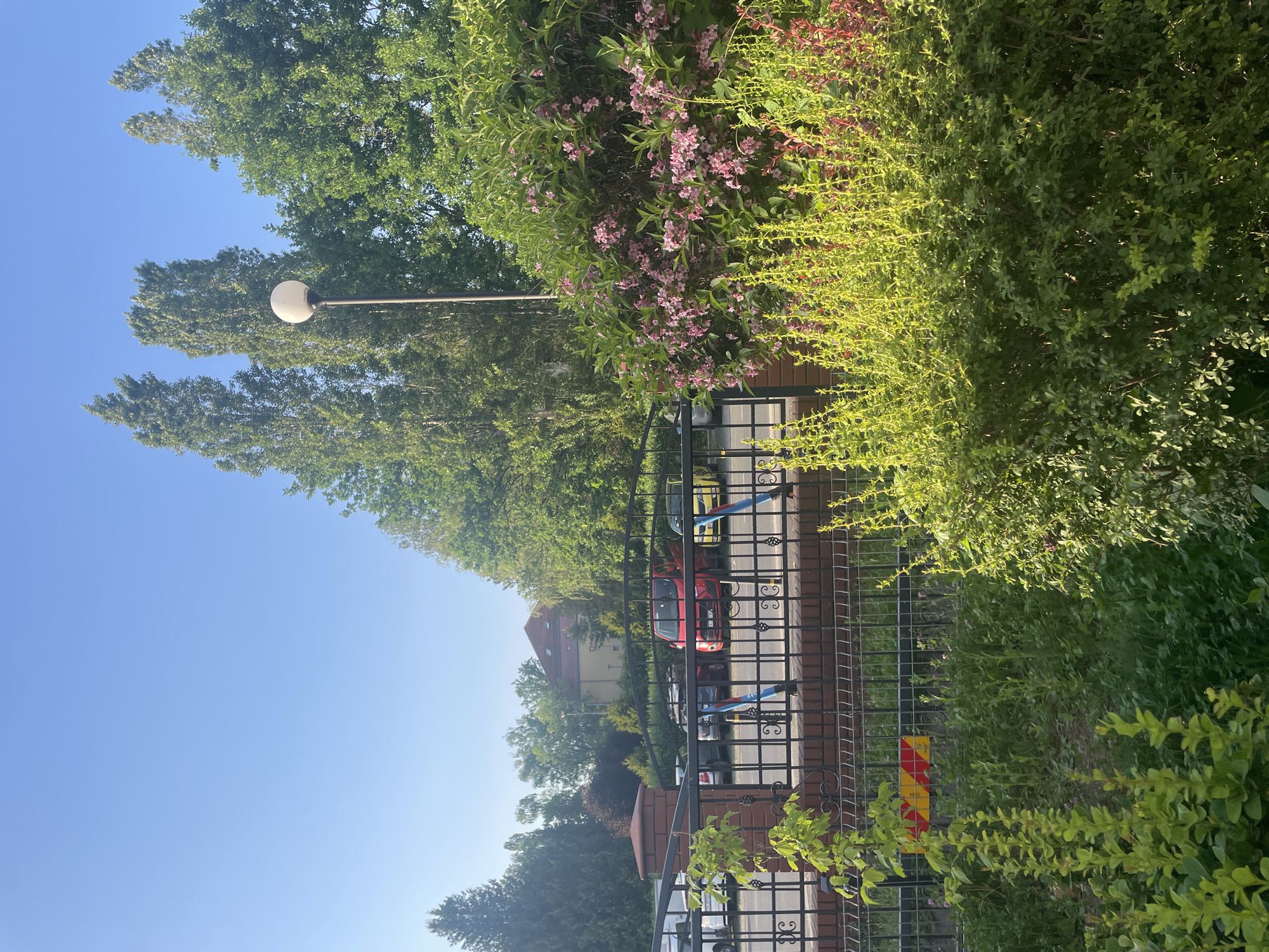 The image depicts a street scene in Wrocław, Poland, characterized by a blend of nature and urban elements. The foreground features a wrought-iron fence partially obscured by lush green foliage, including trees and bushes with some flowering plants. Beyond the fence, a street runs parallel, lined with parked cars, one of which is red. Buildings are visible in the background, indicating a residential or mixed-use area. A tall lamppost with a globe fixture rises alongside the trees. The sky is clear blue, suggesting a sunny day.