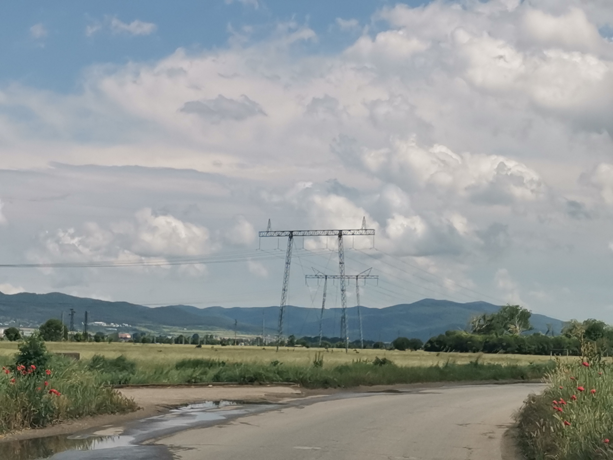 This media file presents a daytime landscape view, likely in a rural or semi-rural area of Zhivkovo, Bulgaria. The foreground features a dirt road with several puddles, indicating recent rain. On either side of the road, green grass and foliage are abundant, with striking patches of red flowers, possibly poppies.
In the midground, vast green fields extend towards a distant mountain range. Dominating this section are two large, metallic electricity transmission towers (power lines), with a third, smaller one partially visible behind them, their wires stretching across the sky.
The background is characterized by undulating mountains with a dark green and blue appearance, suggesting a significant elevation change. Scattered trees and some distant buildings or structures can be seen at the base of these mountains, implying a settlement or industrial presence. The sky overhead is partly cloudy, displaying a mix of bright white and softer grey clouds against patches of blue. No people or visible text are present in the image.