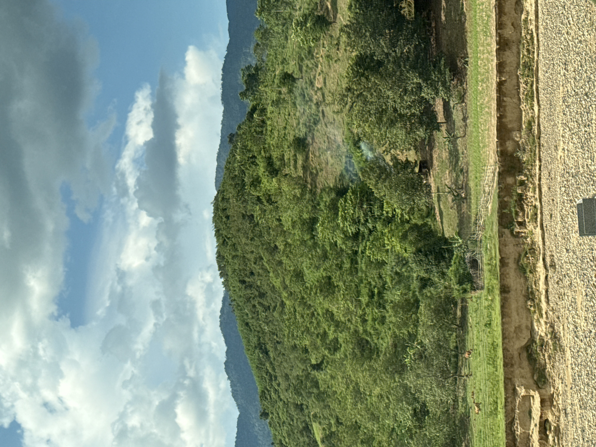 The image depicts a scenic view of a rural landscape in Nam Khanh Vinh, Vietnam. In the foreground, a rocky riverbed or embankment is visible, characterized by its dry, pebble-like surface. Above this, a terraced embankment of soil and vegetation separates the foreground from a green, grassy field. This field is dotted with a few trees and is enclosed by a simple fence, suggesting agricultural use.
In the midground, several brown cows are grazing peacefully in the field. A small, rustic wooden structure or shed is also present. The terrain begins to rise, transitioning into a lush, densely forested hillside that extends upwards to meet the mountain range in the background. The mountains are covered in dense vegetation, with some areas appearing more arid than others. The sky above is a vibrant blue, adorned with a scattering of white and gray clouds, indicative of fair weather. A faint wisp of smoke rises from the hillside, possibly from a small fire. The overall impression is one of natural beauty and tranquility.