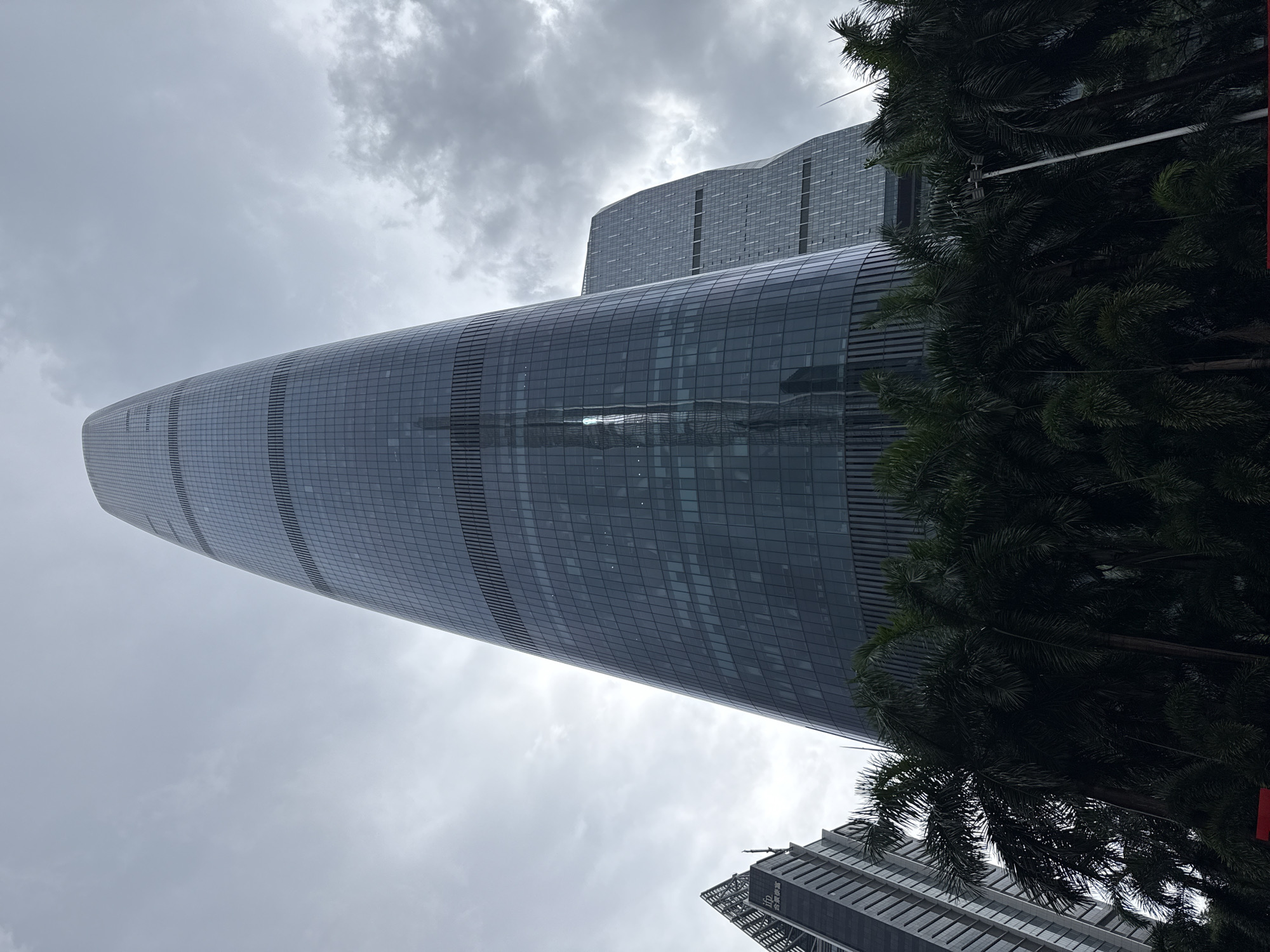 The image captures a low-angle view of the IFC Tower in Tianhe District, Guangzhou, China, on an overcast day. The dominant feature is the skyscraper's curved, glass facade, reflecting the cloudy sky and the surrounding buildings. The tower tapers towards the top and is segmented by horizontal dark bands. To the left and behind the IFC Tower, another skyscraper with a similar architectural style is visible. In the foreground, a dense canopy of dark green palm trees partially obscures the lower sections of the buildings. The overall impression is one of urban modernity set against a dramatic, muted sky, with the tropical foliage adding a contrasting natural element.