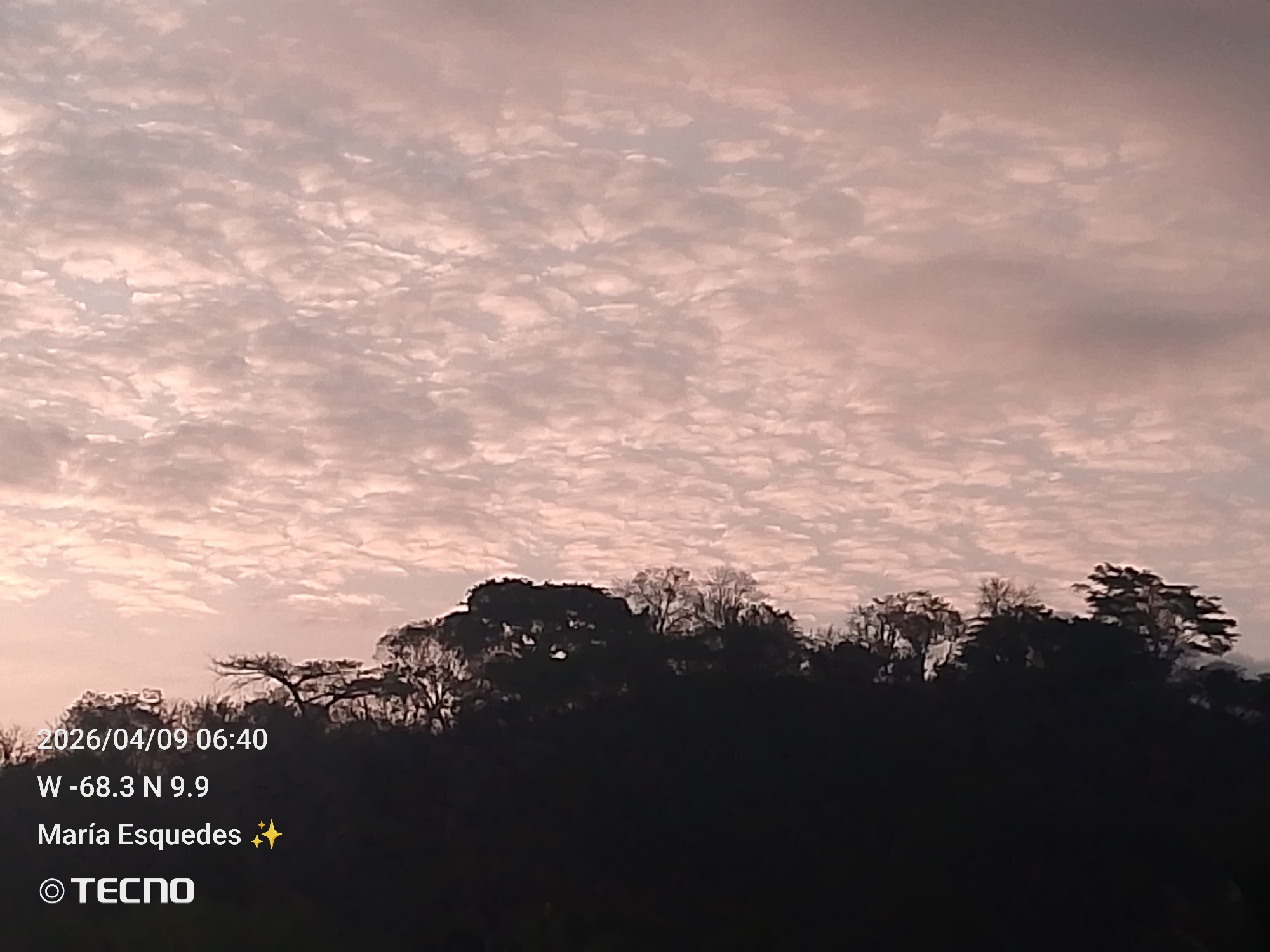 The image shows a landscape taken at dawn or dusk. The sky is filled with altocumulus clouds tinged with pink, suggesting the presence of sunlight despite the low angle. The lower portion of the image is dominated by the dark silhouette of trees on a hill or small mountain. There are no people visible in the image.
The image includes timestamp and location data: April 9, 2026, at 06:40, located at W -68.3 N 9.9. Based on the location data, it can be said this picture was taken in Tinaquillo, Venezuela. The image also displays the name María Esquedas. A TECNO watermark is visible in the lower left corner, indicating the brand of the device used to take the photograph.
