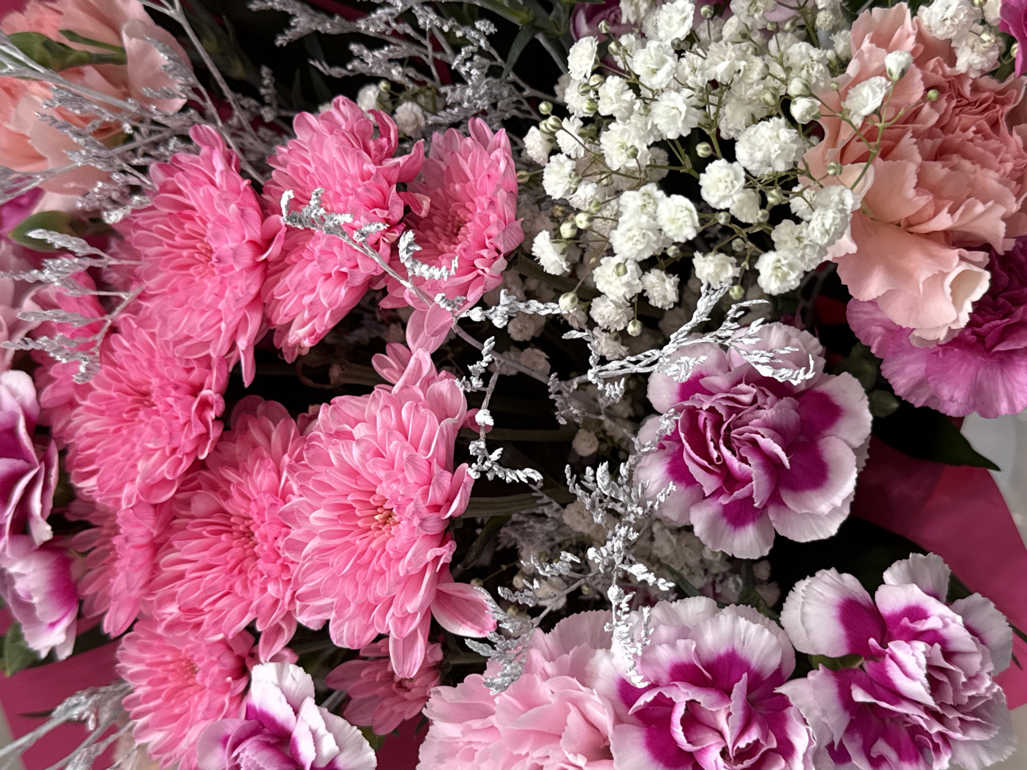 This is a close-up, overhead, eye-level, still life photograph of a vibrant floral arrangement featuring a variety of pink and white flowers, including chrysanthemums and carnations, interspersed with delicate white baby's breath and silver-sprayed decorative branches. The flowers are densely packed and fill the frame, with some appearing fully bloomed and others in various stages of opening. The lighting is bright and even, highlighting the textures and colors of the petals. There is no discernible background, suggesting the arrangement is the sole subject of the image. The photograph does not depict any people, actions, or interactions. The setting is not identifiable as being in Wrocław, Poland, or any other specific city.