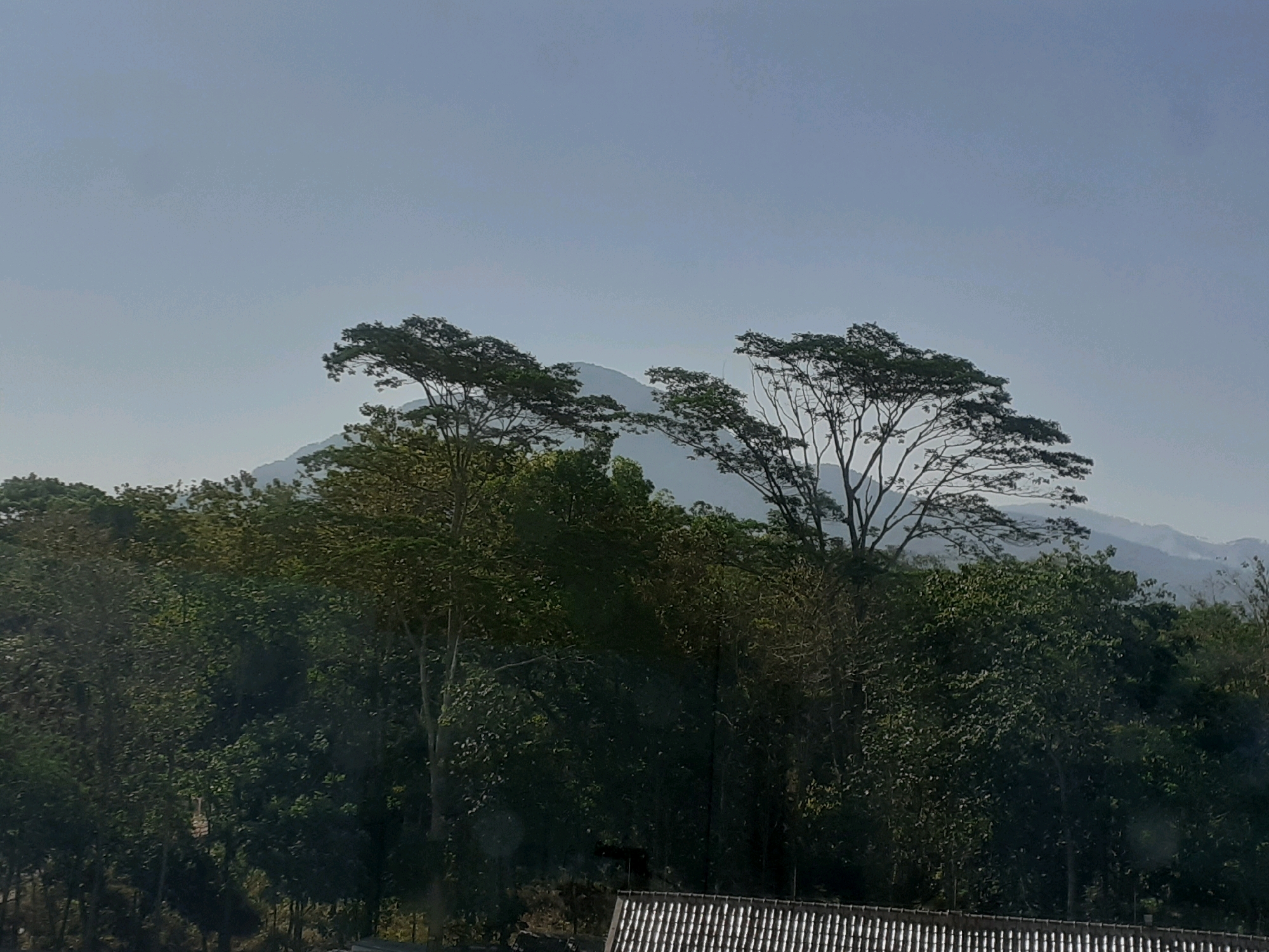 The image depicts a landscape dominated by a dense forest in the foreground, with the silhouettes of trees and mountains visible in the background under a hazy sky. The scene appears to be a natural environment, possibly a rural or mountainous area. The provided crops highlight details of the trees and the distant mountains, suggesting a location with significant vegetation and elevation changes. Given the context of Sumedang, Indonesia, the image likely captures a view of the lush, hilly terrain characteristic of the region, possibly including Mount Tampomas or other prominent geological features.