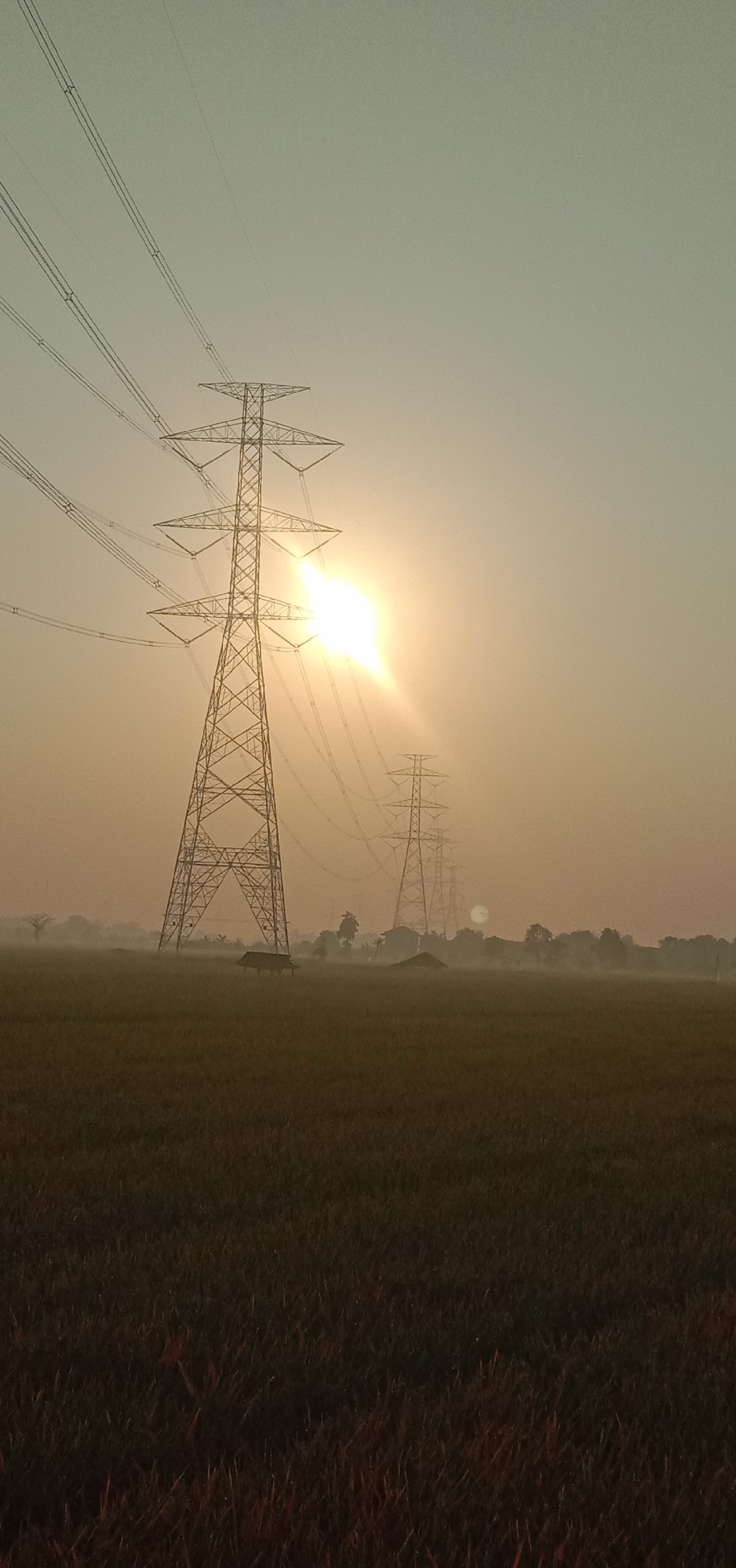 A vertical, wide shot depicts a hazy, sun-drenched landscape, likely in the city of Subang, Indonesia. The scene is dominated by several towering electricity pylons marching into the distance across a vast, dark green field of crops, possibly rice. The sun is a bright, white orb, partially obscured by the haze and the first pylon on the left, casting a warm, golden glow across the sky and landscape. Fine wires crisscross the sky, connecting to the pylons. In the mid-ground, the haze softens the features of distant trees and structures, including what appear to be small huts or sheds within the field. A single dark silhouette of a cow stands in the left mid-ground. The overall impression is one of a rural, agricultural setting at dawn or dusk, under a bright but diffused sun.