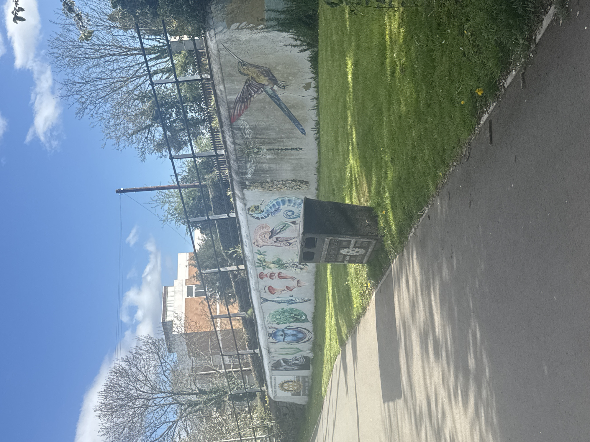 The media file displays an outdoor scene of a paved pathway running alongside a long, light-colored wall adorned with colorful artwork. The wall features a variety of painted or tiled murals depicting flora and fauna. Towards the top, a large bird resembling a macaw or parrot is visible, along with a dragonfly. Further along the wall, other creatures like a seahorse, a blue beetle, various fish, and fungi are depicted.
On the right side of the wall is a strip of vibrant green grass, which casts dappled shadows onto the pathway, indicating bright sunlight. The pathway itself is grey asphalt or concrete. Above the wall, on the left, are trees, some bare-branched, suggesting a season other than peak summer. In the background, under a clear blue sky with scattered white clouds, a tall, slender pole and buildings with orange and white facades are visible.
A dark grey, rectangular box is mounted on the wall, near the pathway. On its visible side, the text "LEAVE NO TRACE" is clearly readable. Below this box, part of a circular emblem with text is visible, including "ROTARY INTERNATIONAL" and the year "1905". Another small section of text appears to say "GIVE BACK". No people or specific activities are present in the image, which appears to be a static daytime shot in a public area, likely a park or promenade in Welshpool, United Kingdom.