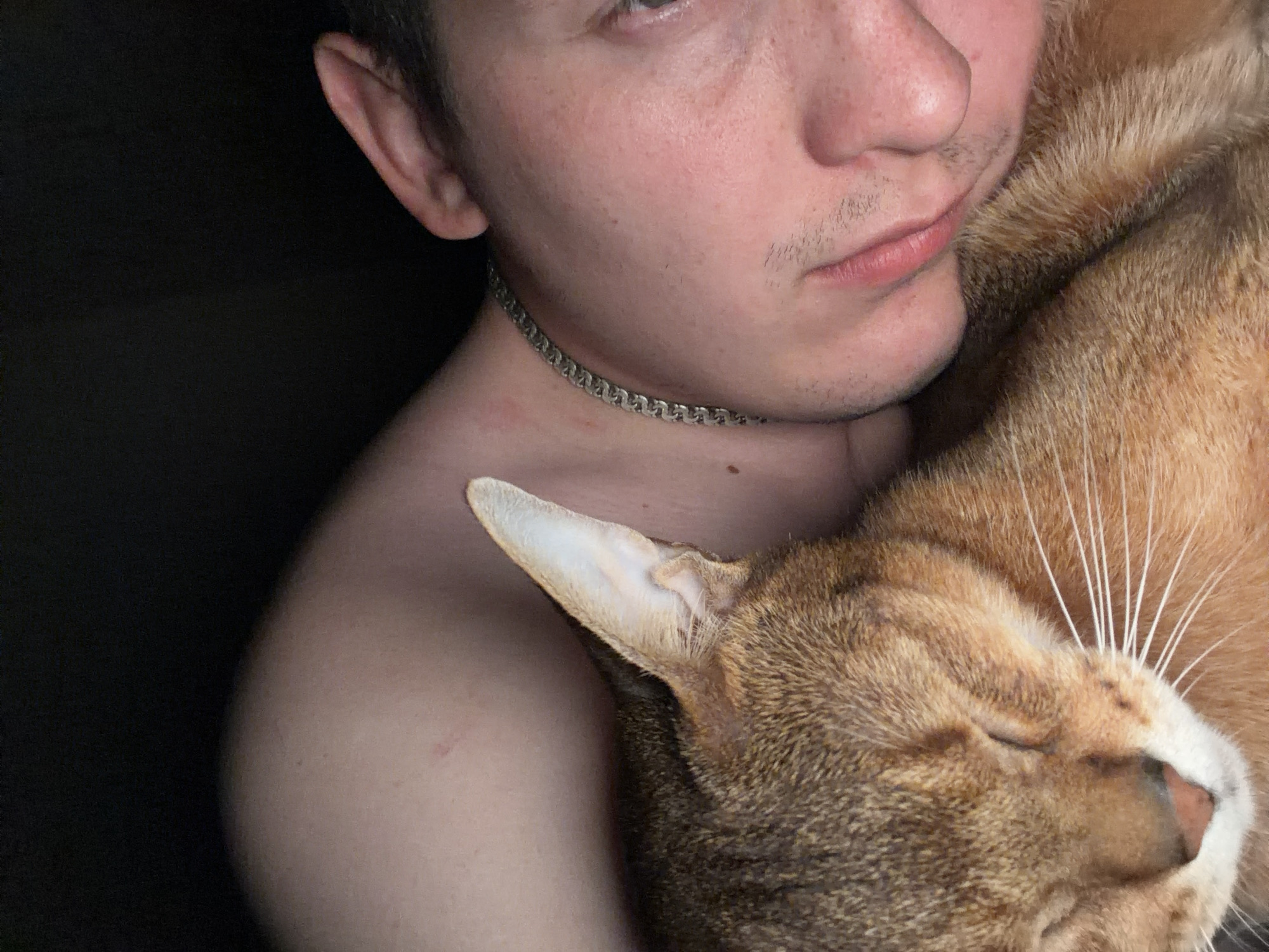The image shows a close-up of a person and a cat in a dark environment. The person is lying on their side, with their face close to the cat. The cat is an orange tabby with its eyes closed, resting against the person's shoulder. The person is wearing a silver chain necklace. The background is dark, suggesting a dimly lit room or nighttime setting. There is no visible indication of the city of Chaikovsky, Russia in the image.