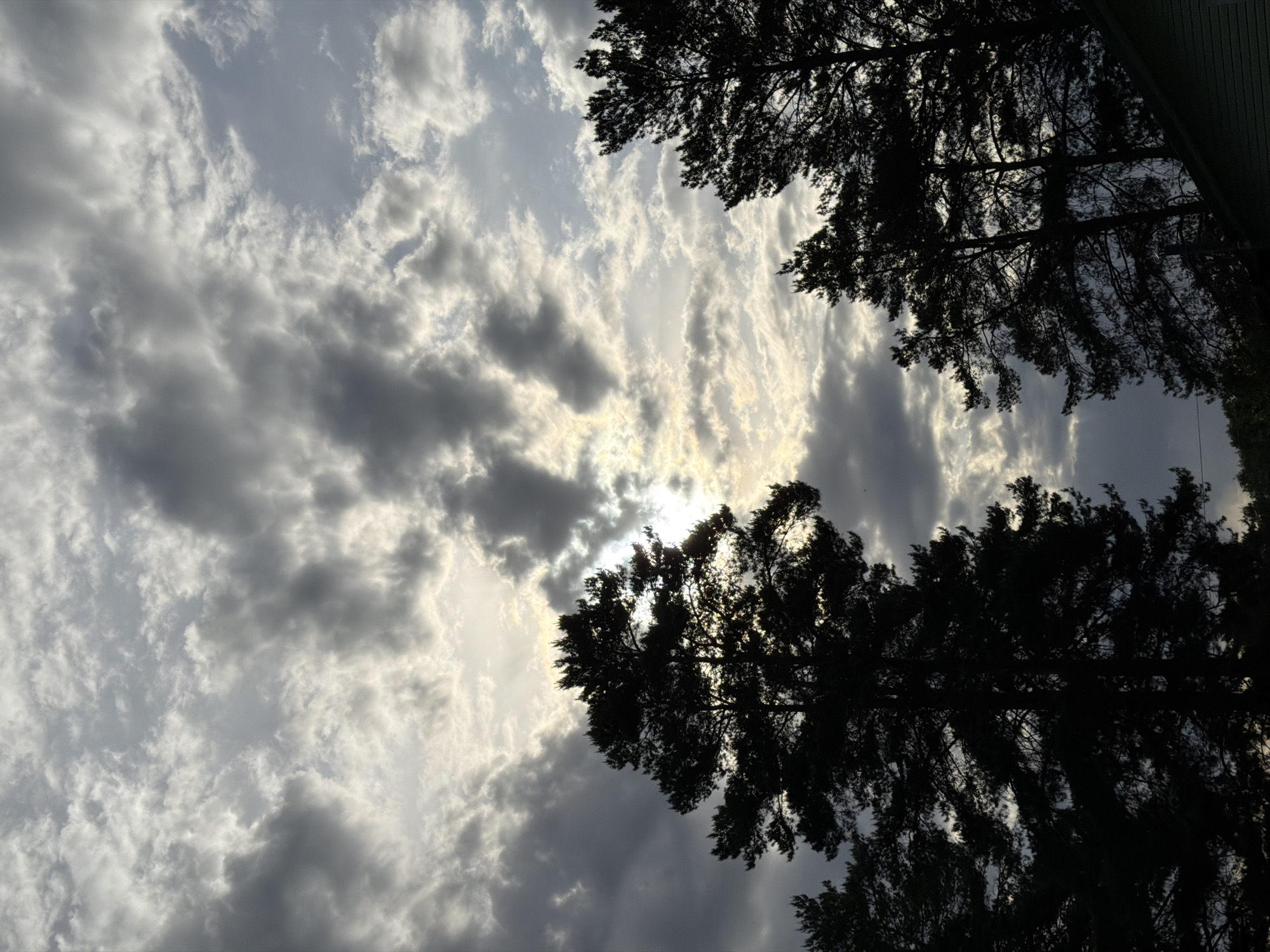 The image depicts a sky filled with mostly gray, striated clouds, with some patches of lighter sky visible. The sun is partially obscured by the clouds, creating a bright, diffused light. Silhouetted trees frame the top and bottom of the image, with their branches reaching towards the center. The exact location in Chaikovsky, Russia is not discernible from the image. No people or identifiable objects besides the sky and trees are present.
