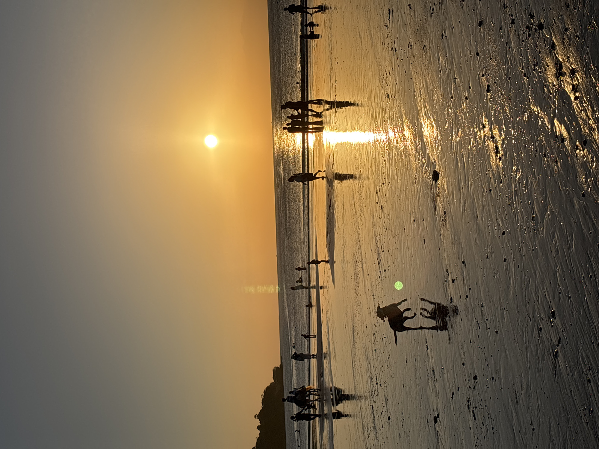 The image depicts a serene beach scene at sunset in Kuta Selatan, Indonesia. The sun, a bright orb, hangs low in the orange sky, casting a warm glow and reflecting on the wet sand. Silhouettes of people are scattered across the beach, some wading in the shallow water, others walking along the shoreline. A group of people are riding horses in the distance, their figures outlined against the sky. In the foreground, a dog is captured mid-stride, appearing to chase a ball, its reflection shimmering on the wet sand. The wet sand itself is textured with ripples and scattered pebbles, creating intricate patterns under the fading light. The ocean stretches out to the horizon, calm and vast.
